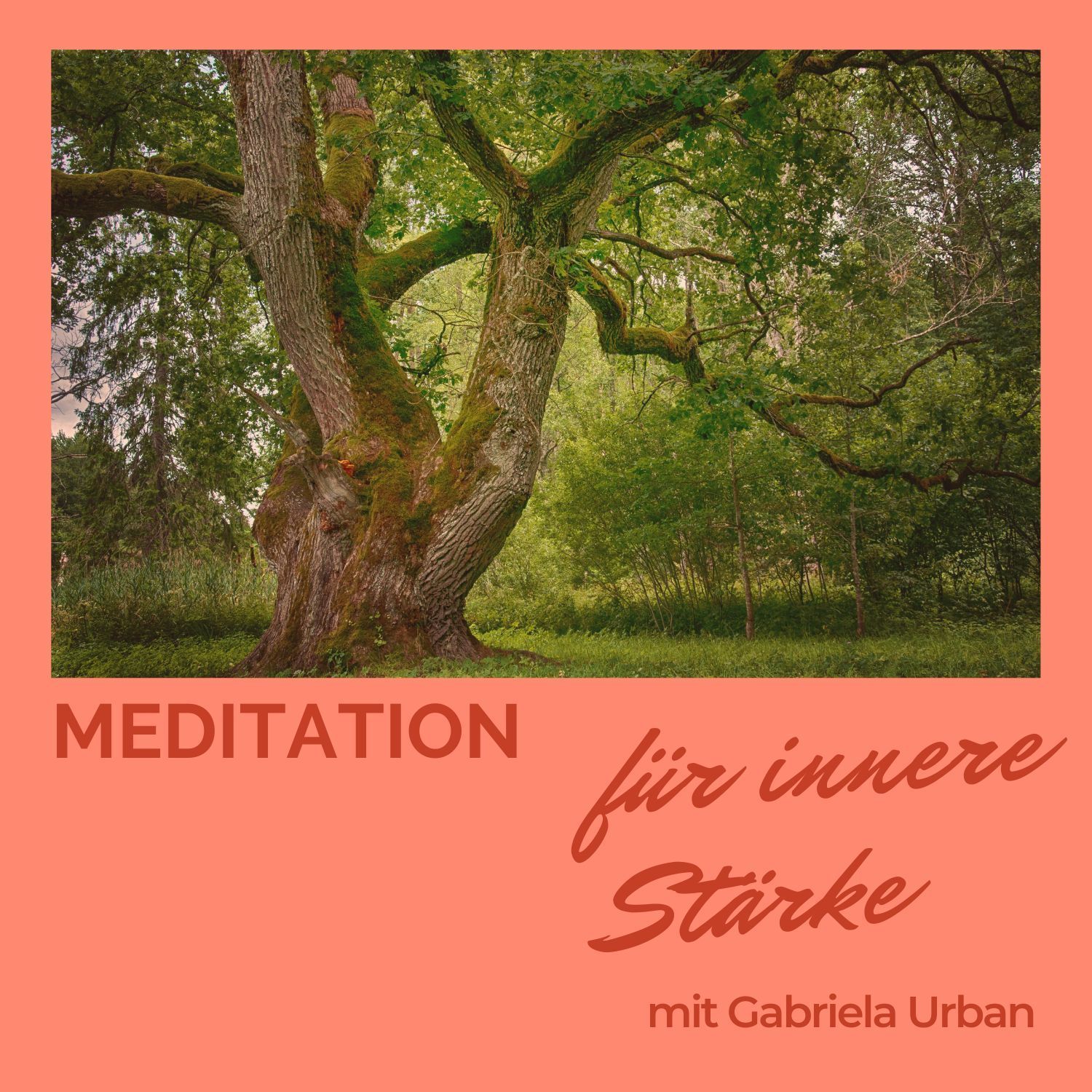 #046: Meditation innere Stärke – kurze Traumreise zum Riesen