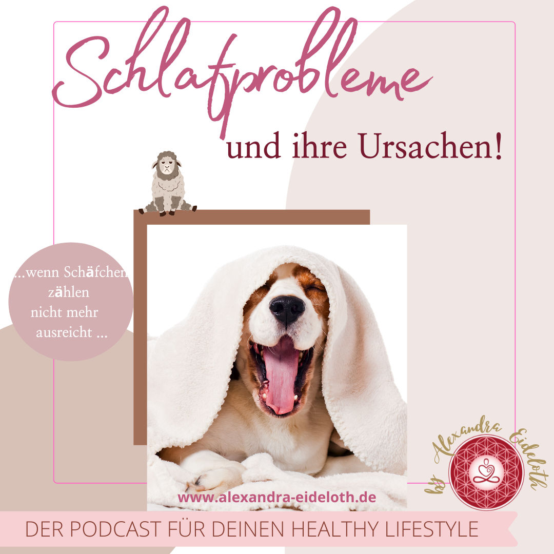 046 - Schlafprobleme und ihre Ursachen