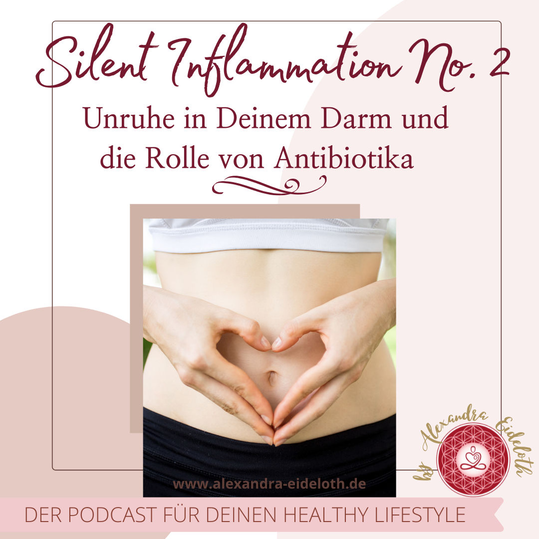 048 - Silent Inflammation Folge 2 - Ursache Darm