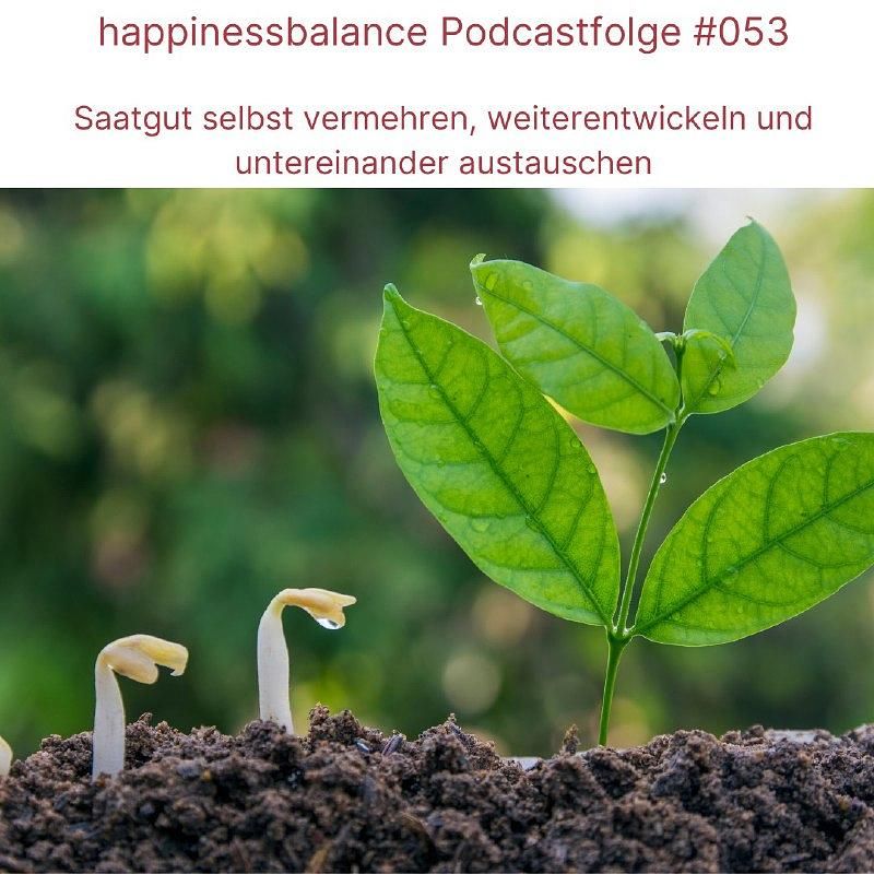 #053 Saatgut selbst vermehren, weiterentwickeln und untereinander austauschen