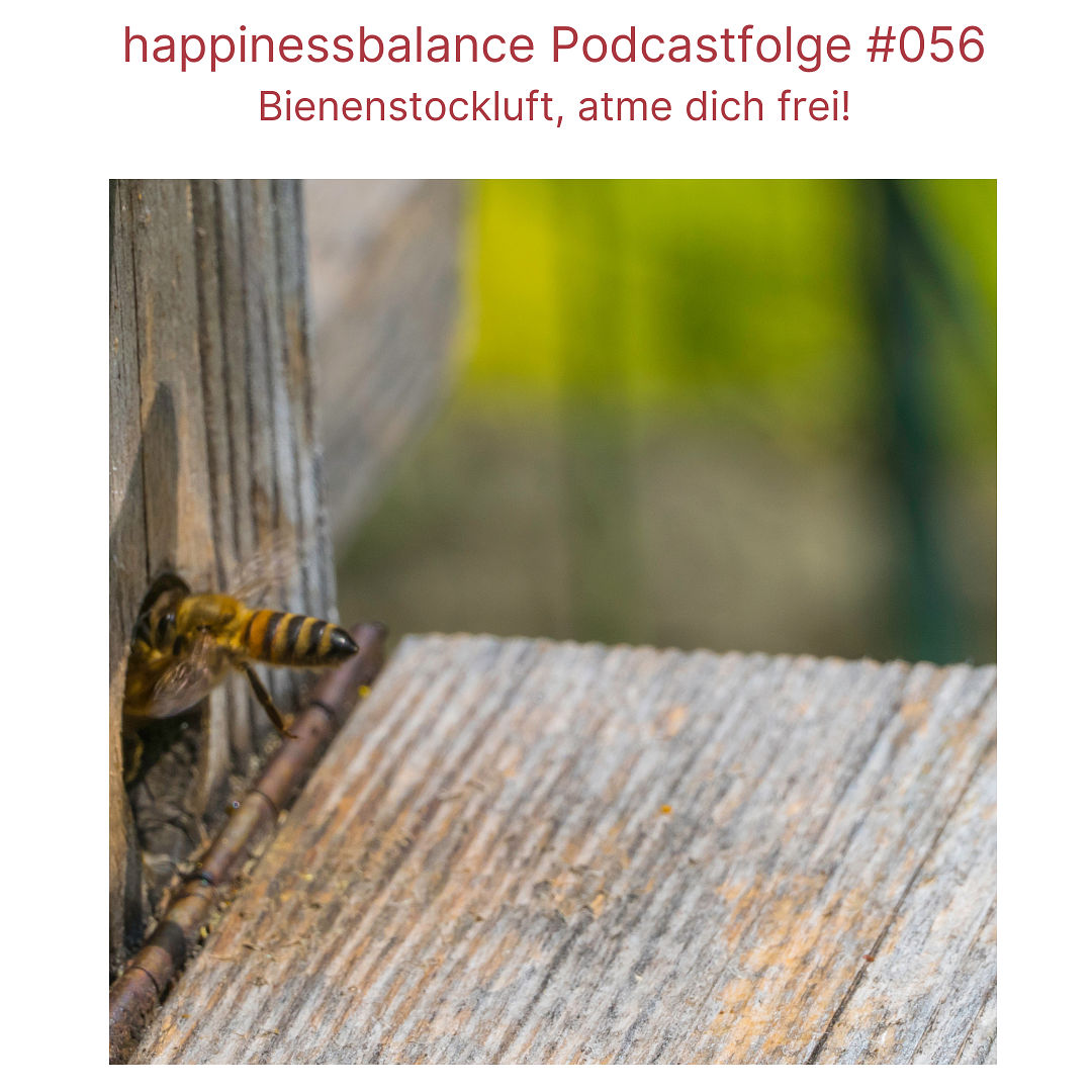 # 056 Bienenstockluft, atme dich frei!
