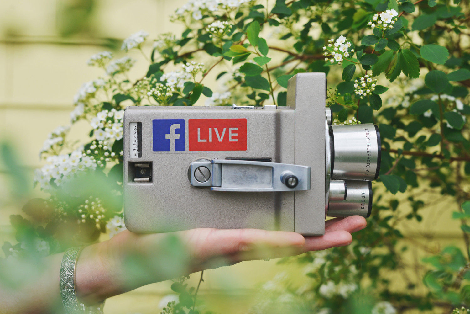 06 5 Elementis und ihre Emotionen - Isabel Ockert im Live Interview