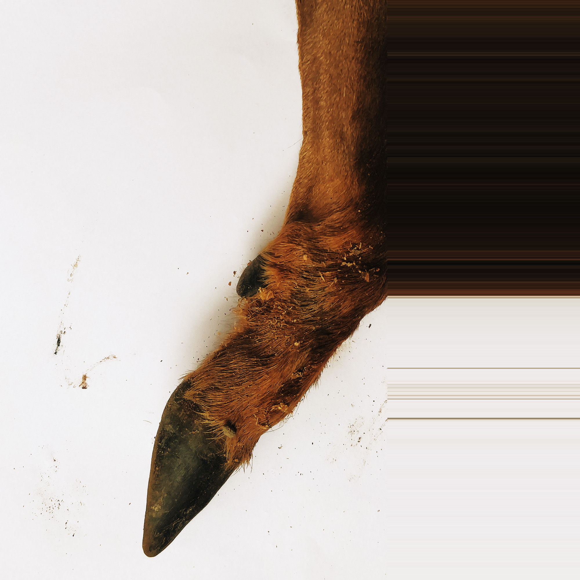 06 Irgendwann ist Schluss