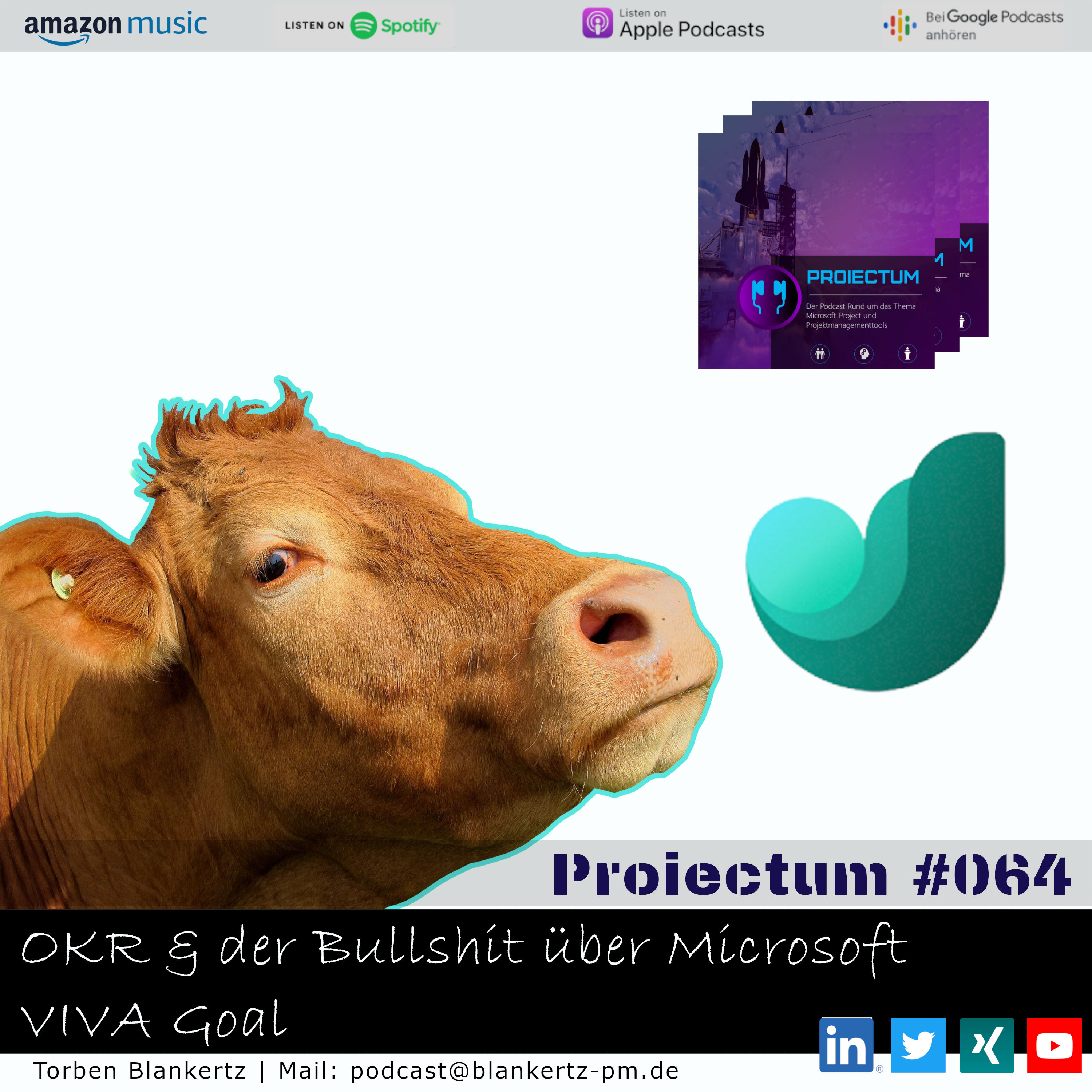 #064 - OKR & der Bullshit über Microsoft VIVA Goals