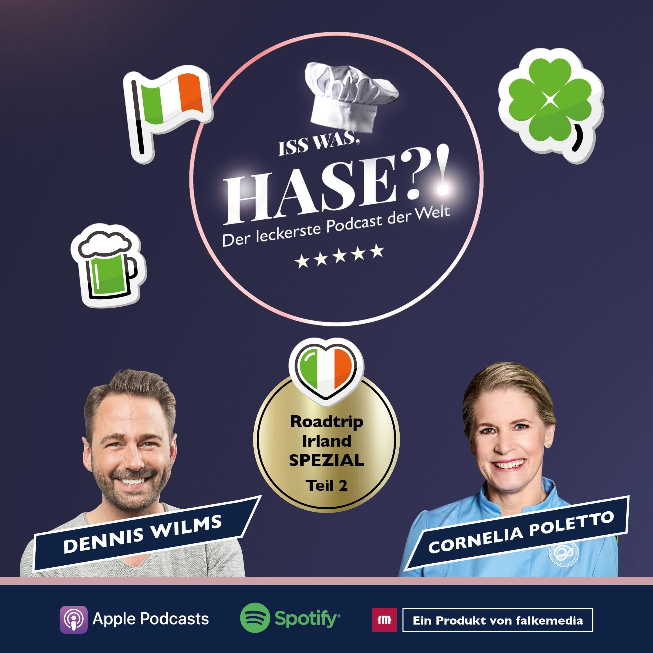 064 Roadtrip Irland Teil 2