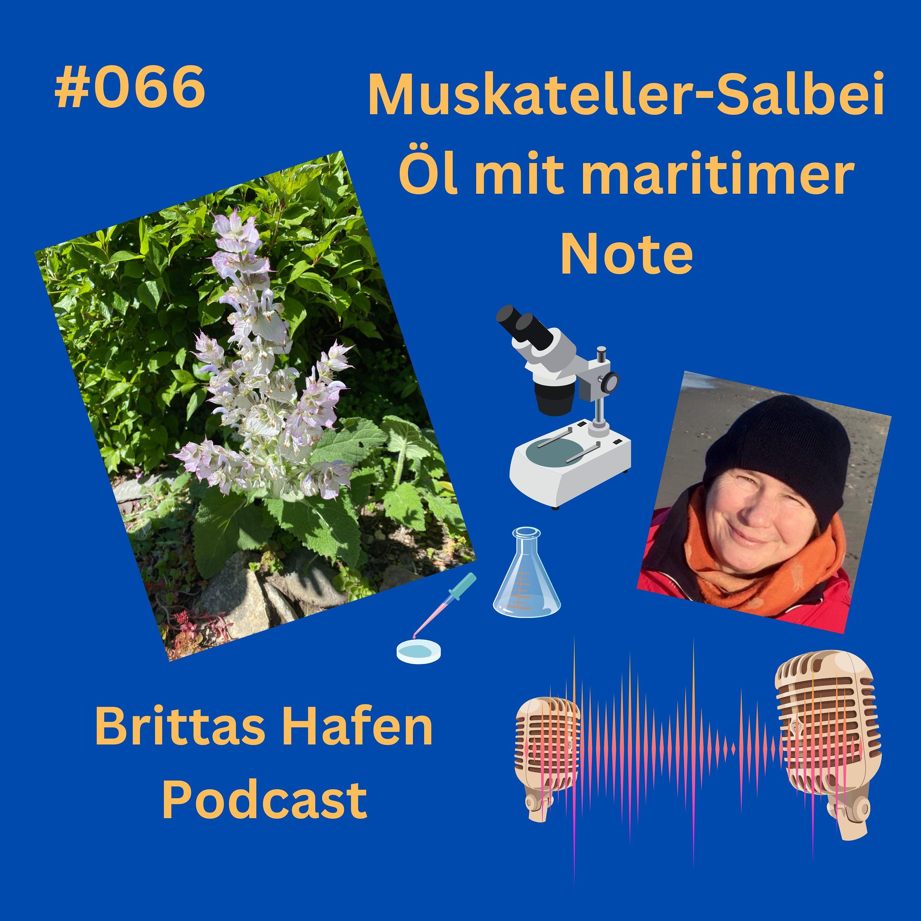 #066 - Muskateller-Salbei Öl mit maritimer Note