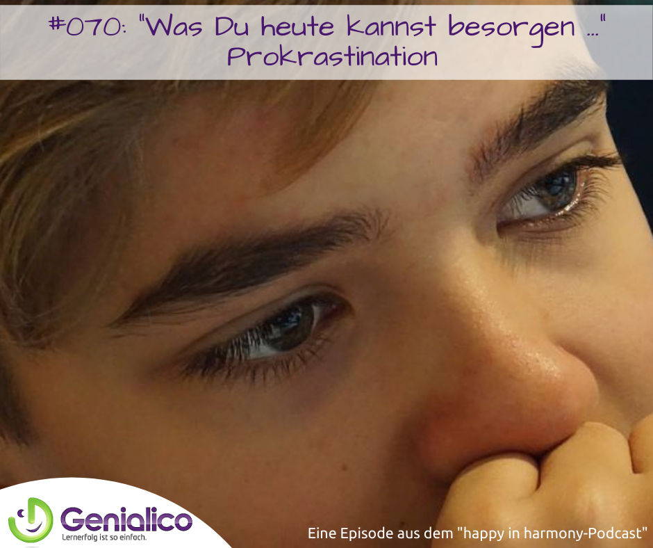 #070: Was Du heute kannst besorgen ... - Prokrastination