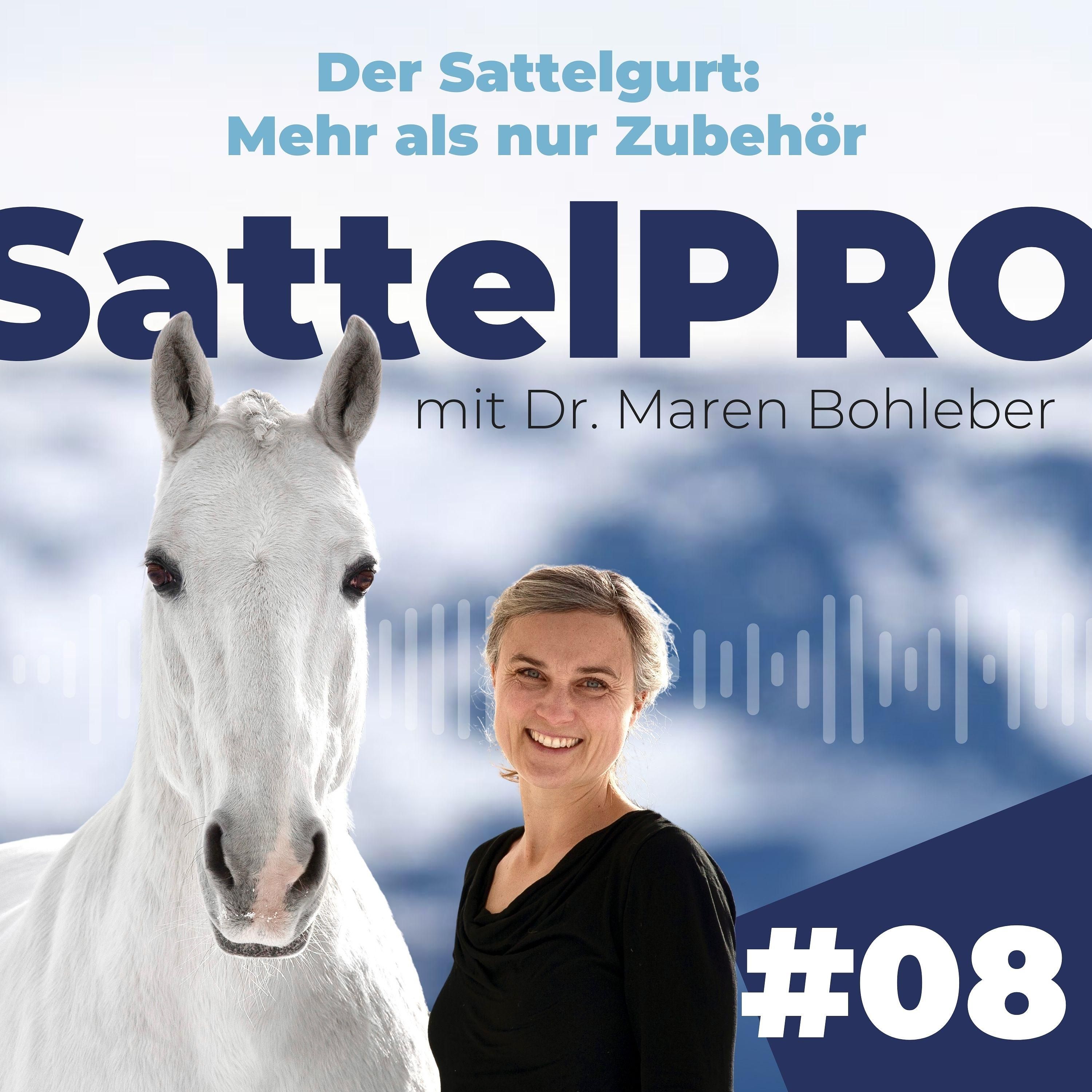 #08 Der Sattelgurt: Mehr als nur Zubehör