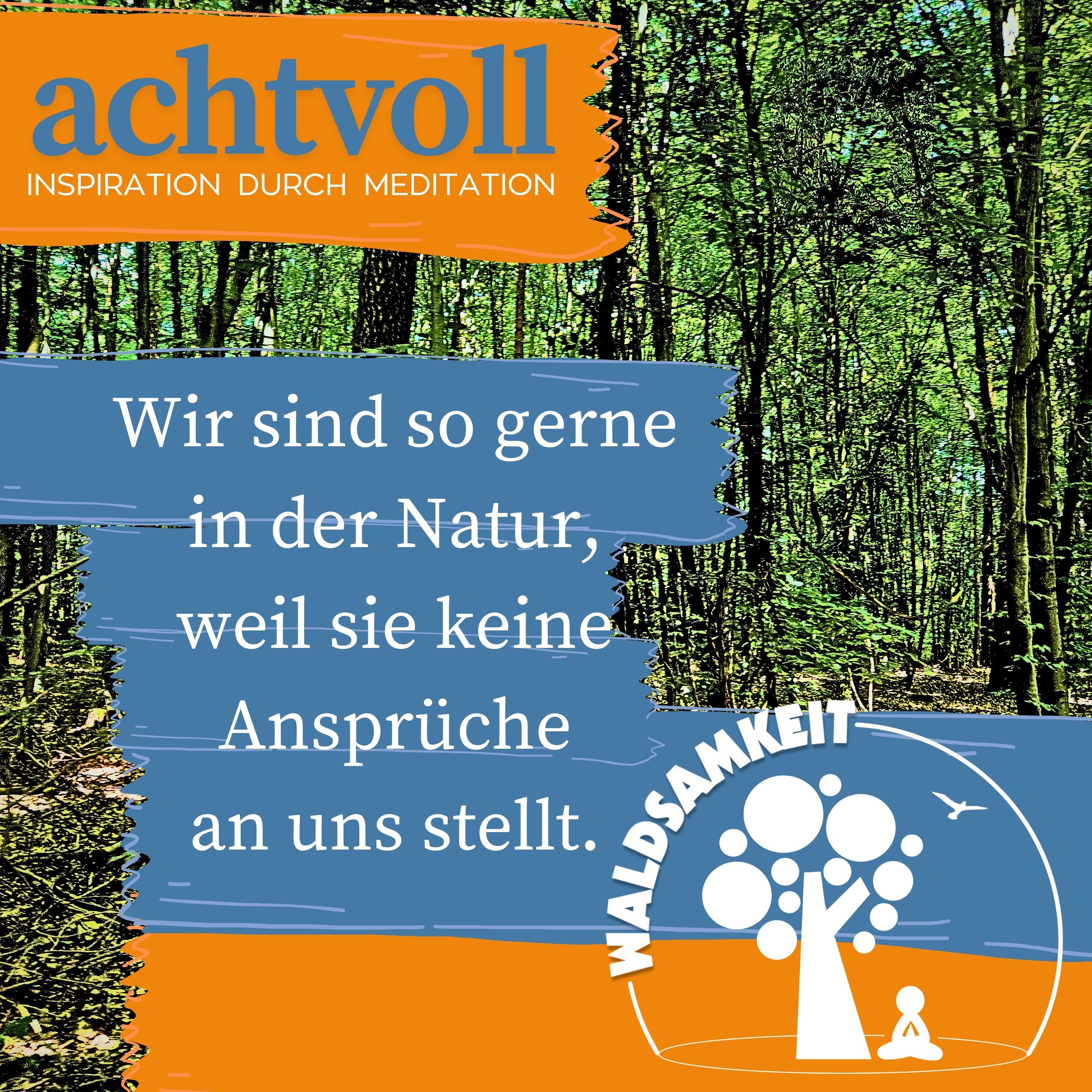 #09 Waldsamkeit