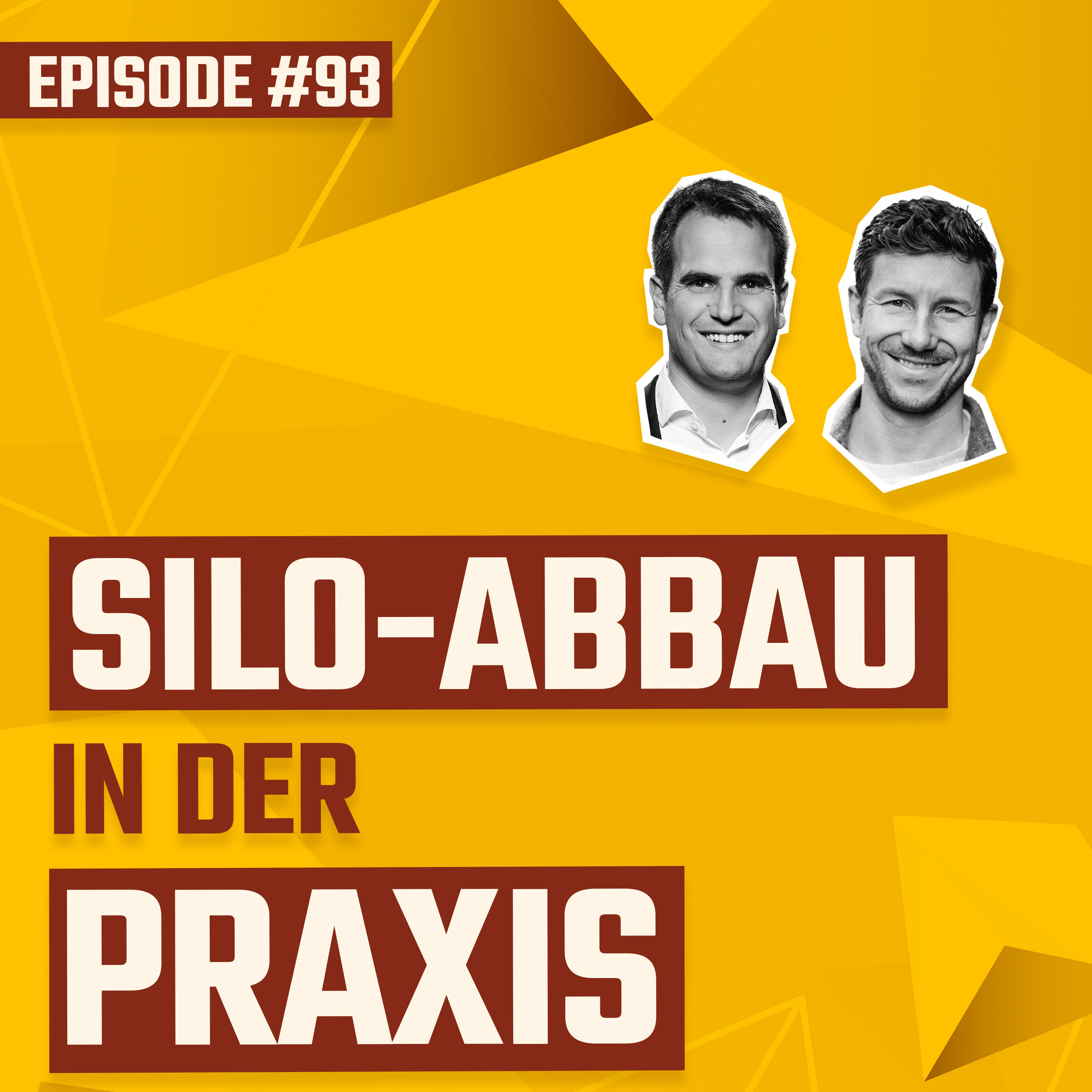 #093 - Silo-Abbau in der Praxis: Ein Schulterblick!!