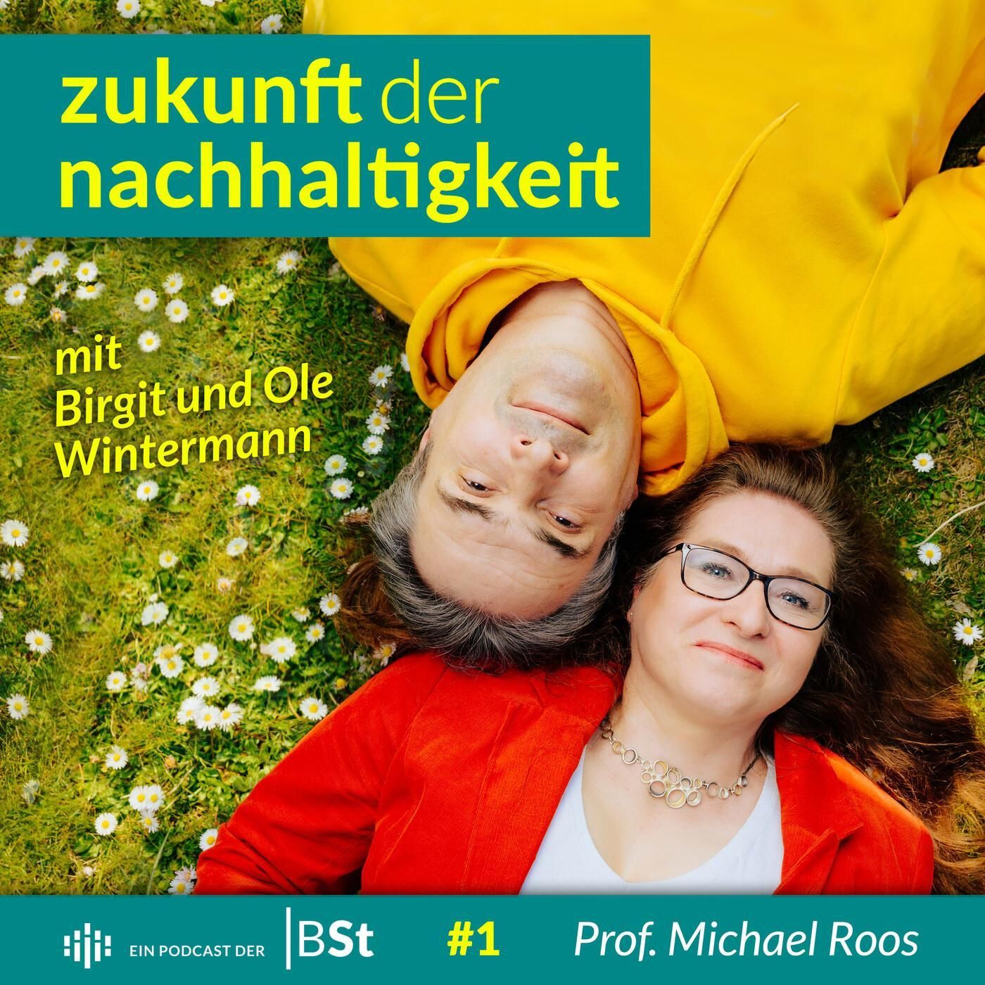 #1 Das Nachhaltigkeits-Narrativ - mit Prof. Michael Roos
