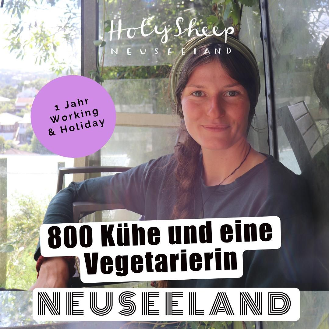 1 Jahr Working Holiday in Neuseeland. 800 Kühe und eine Vegetarierin