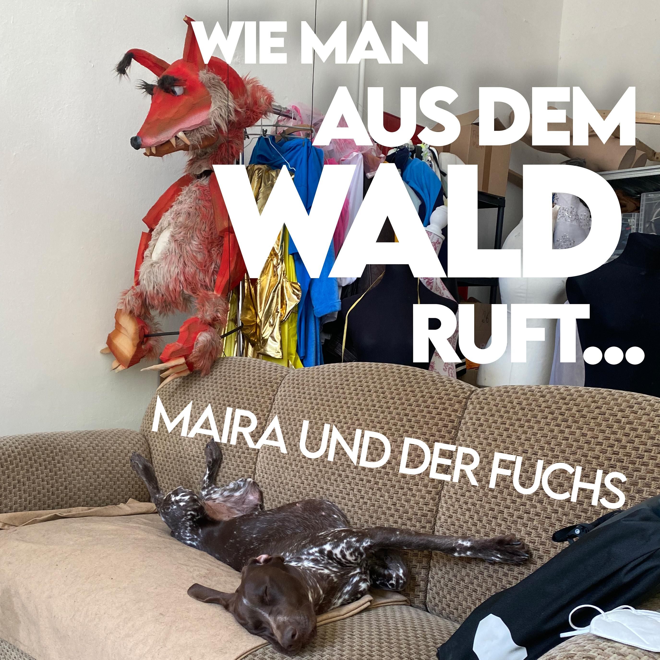 #1 Maira und der Fuchs
