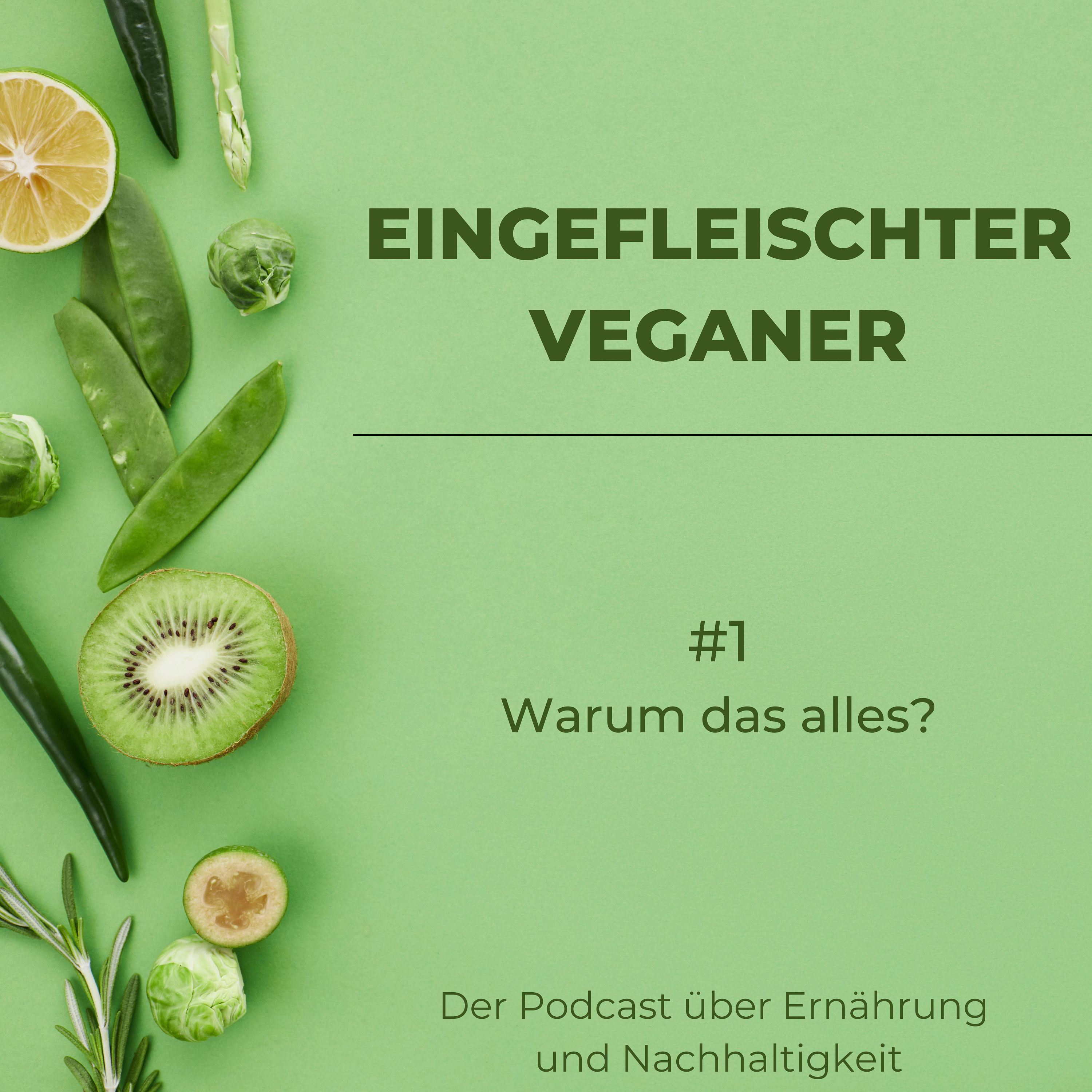 #1 Warum das alles?
