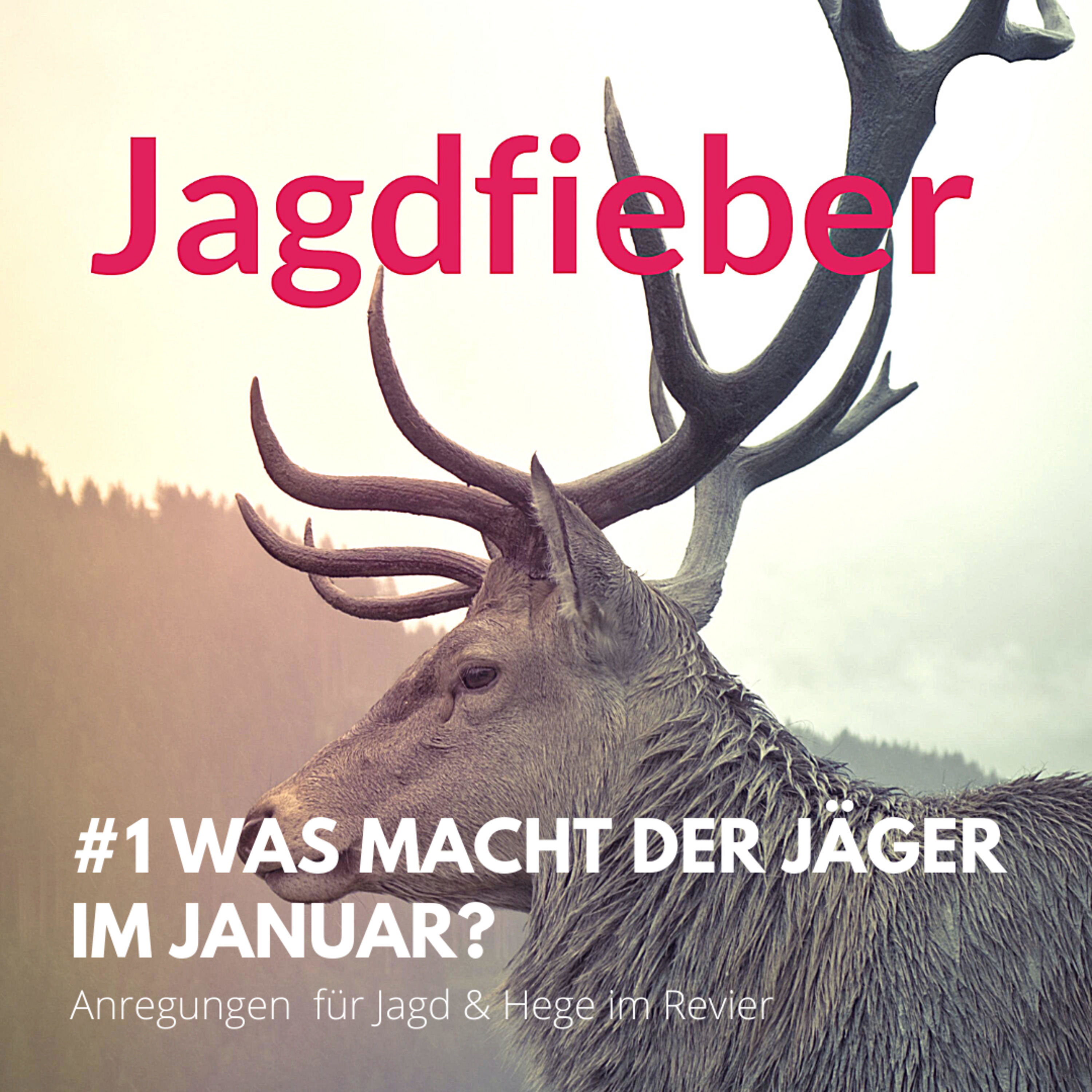 #1 Was macht der Jäger im Januar? Anregungen für Jagd & Hege im Revier #jagdfieberpodcast #jagdschuletogo