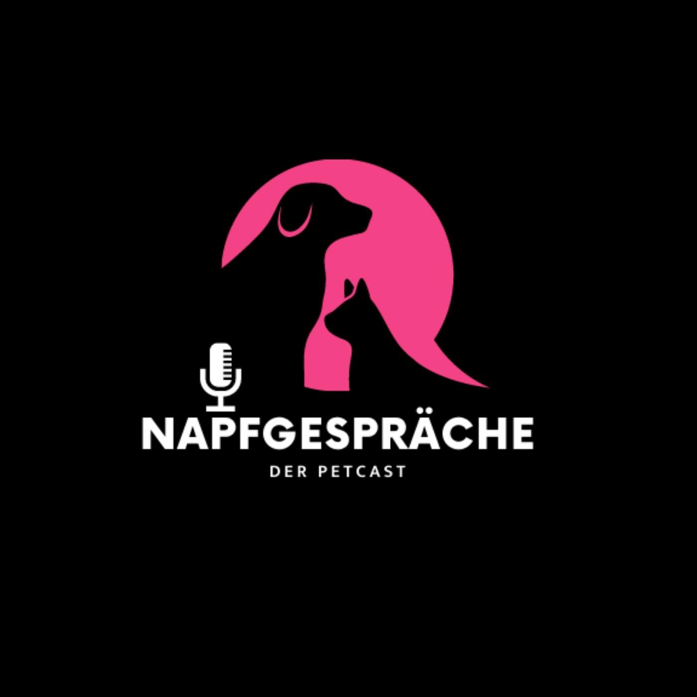 #1 Wie du Welpen und Kitten richtig und sorgenfrei BARFst