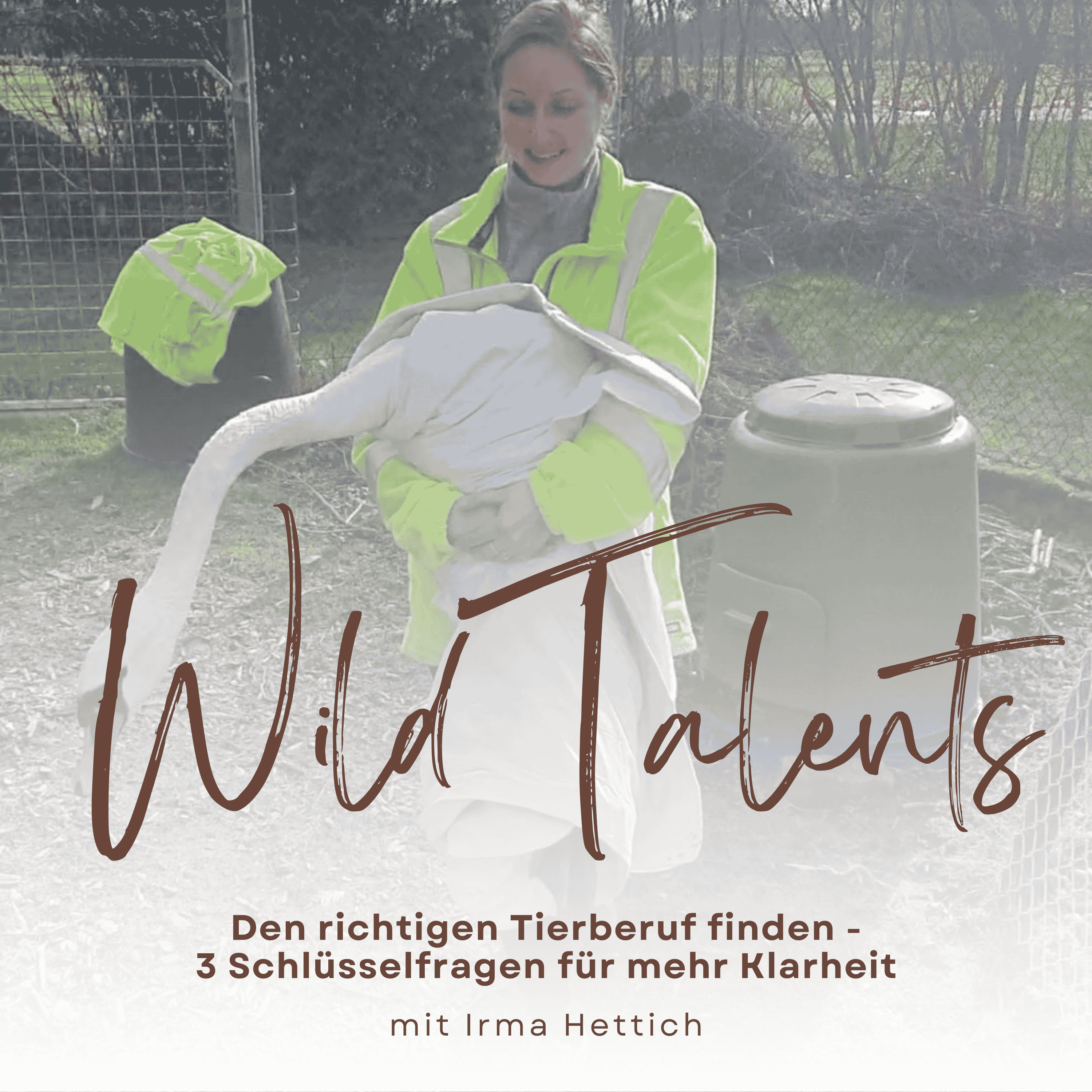 #10 Den richtigen Tierberuf finden - 3 Schlüsselfragen für mehr Klarheit