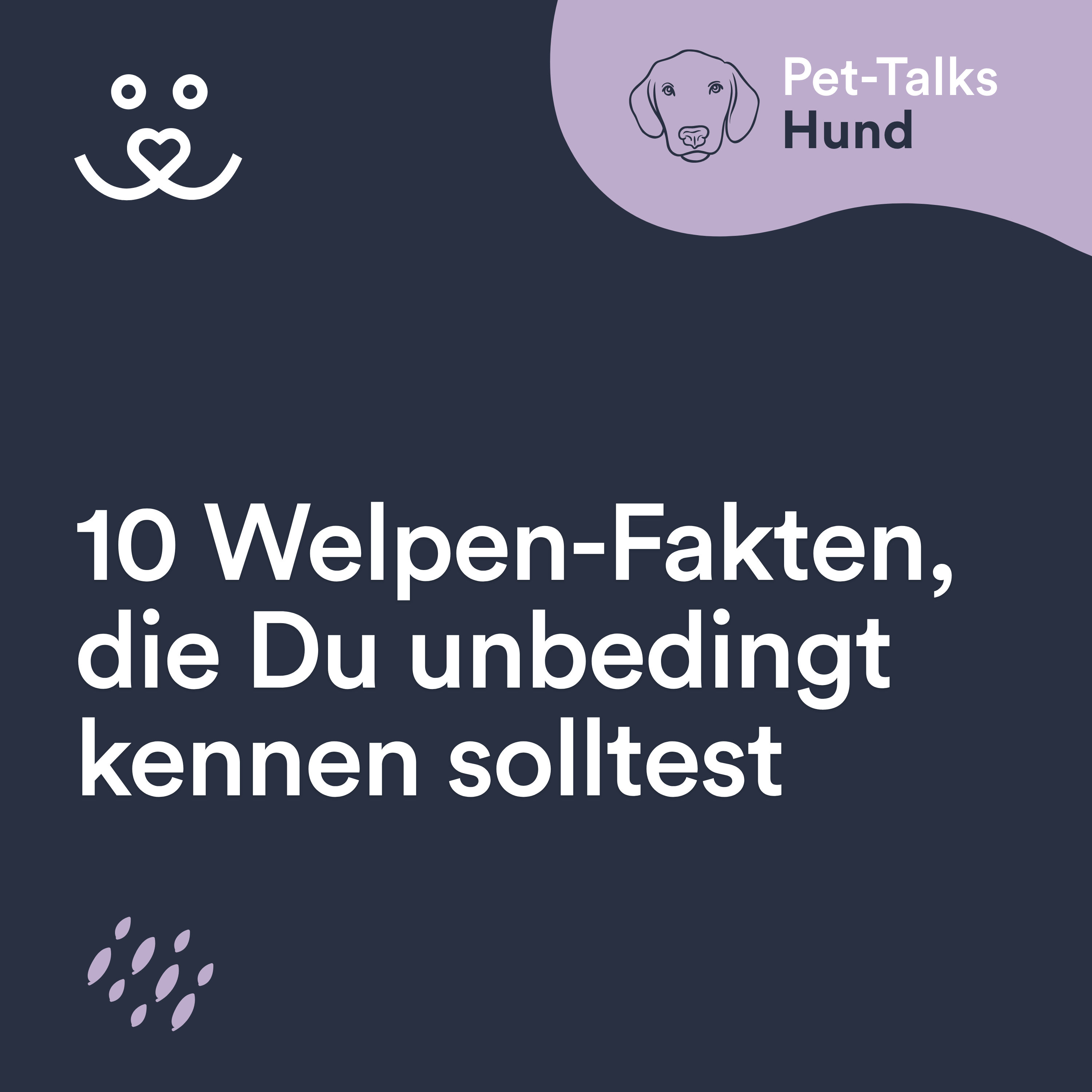 10 schonungslose Welpen-Fakten, die Du kennen musst