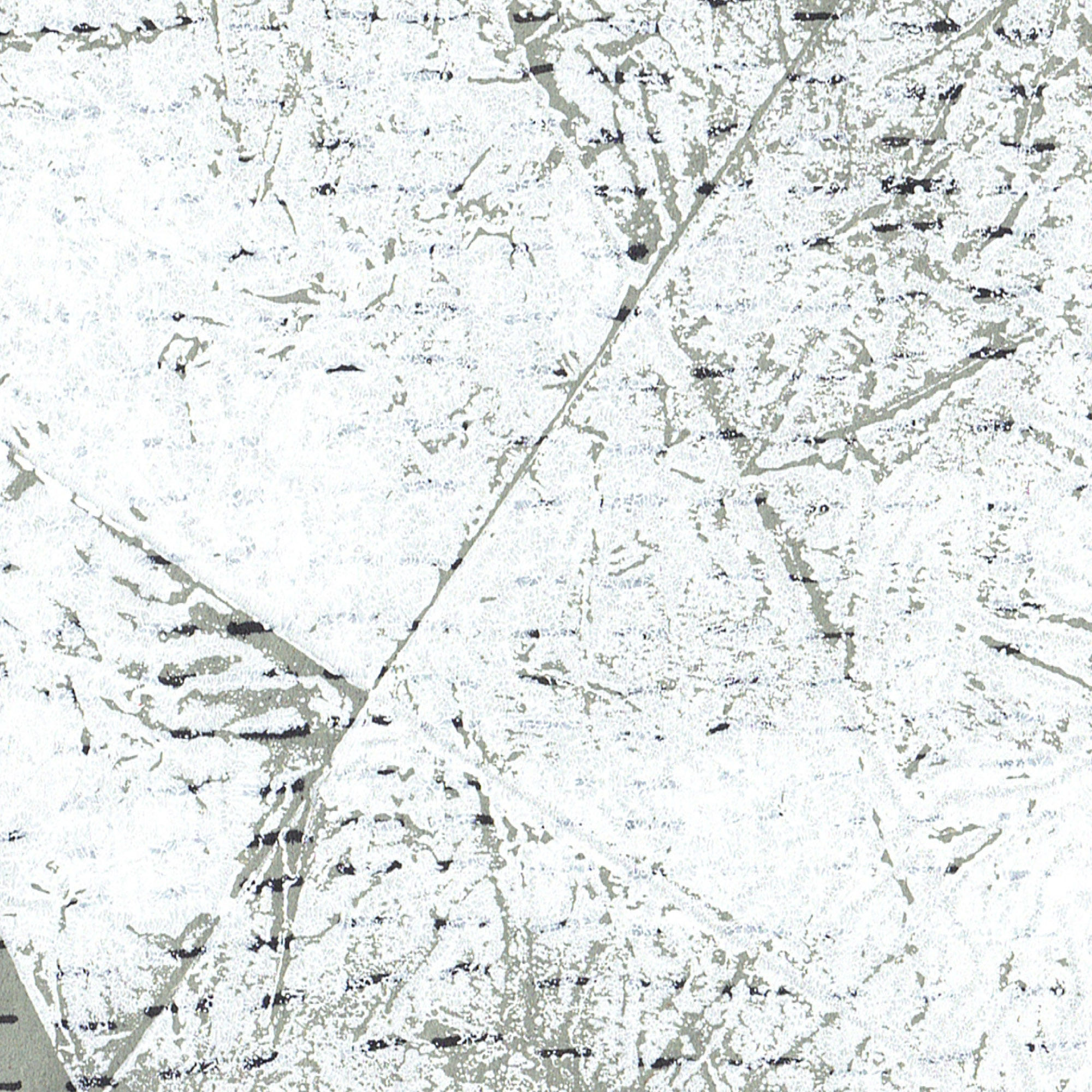 10 Wer gehört dazu?