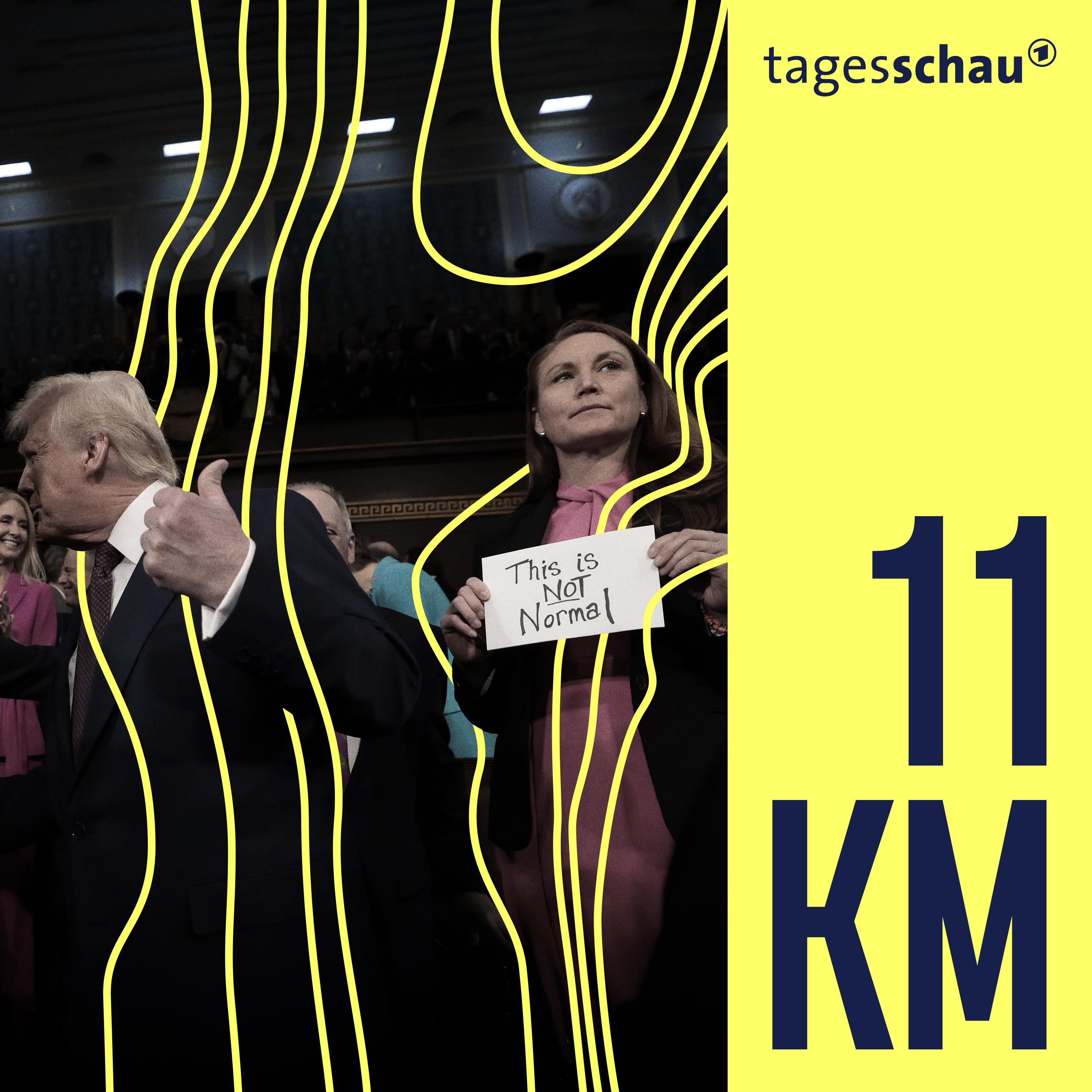 100 Tage Trump - Wo sind die Demokraten?