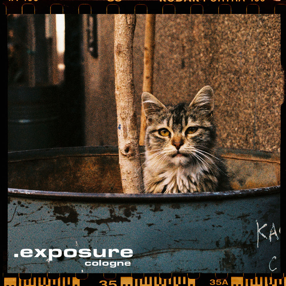 #102 Der große Jahresrückblick 2025!