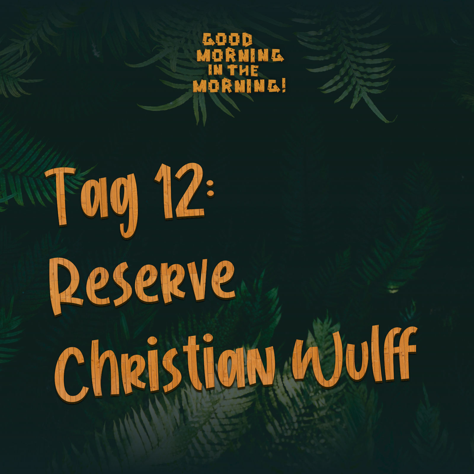 #104 – Tag 12: Reverse Christian Wulff