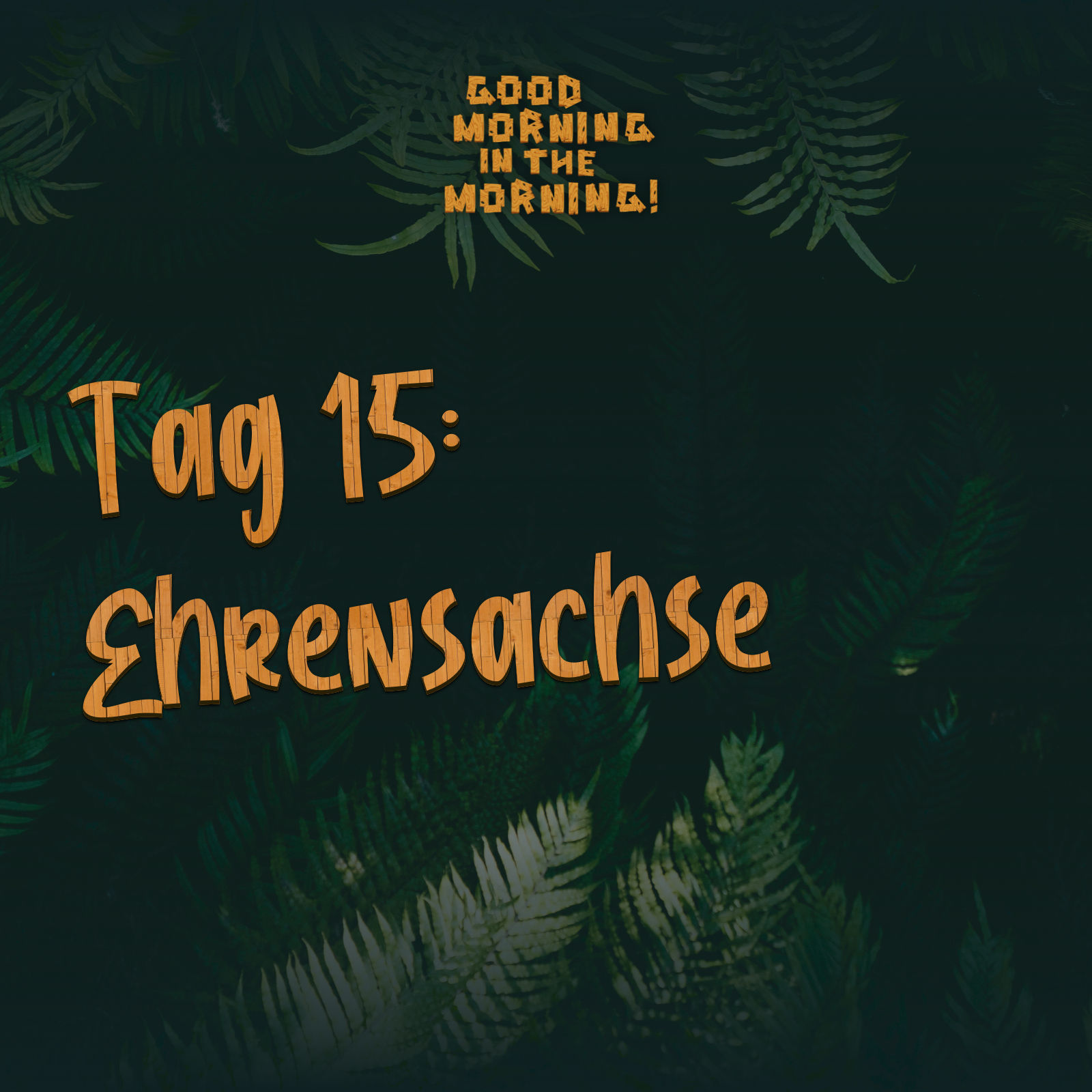 #107 – Tag 15: Ehrensachse