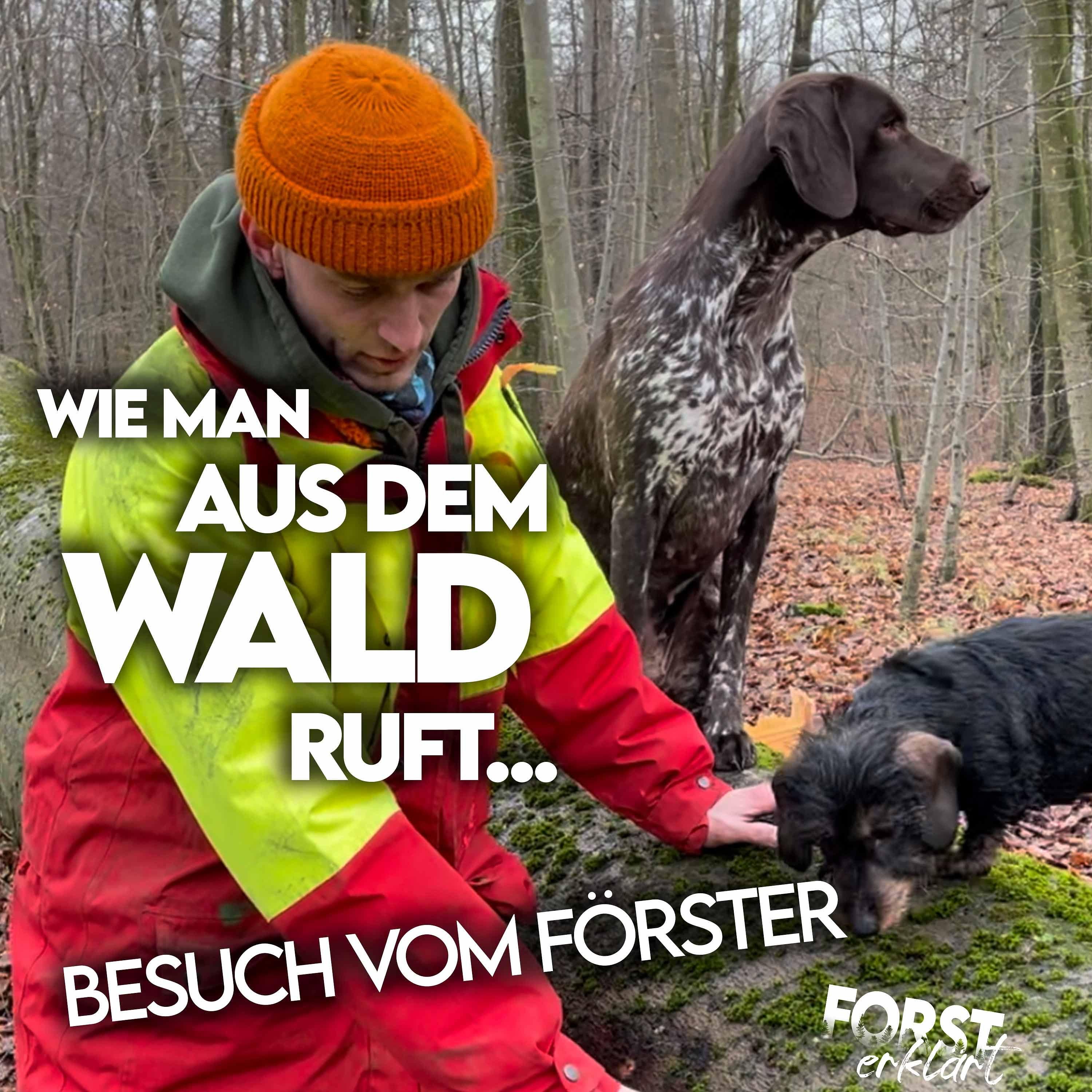 #11 Besuch vom Förster
