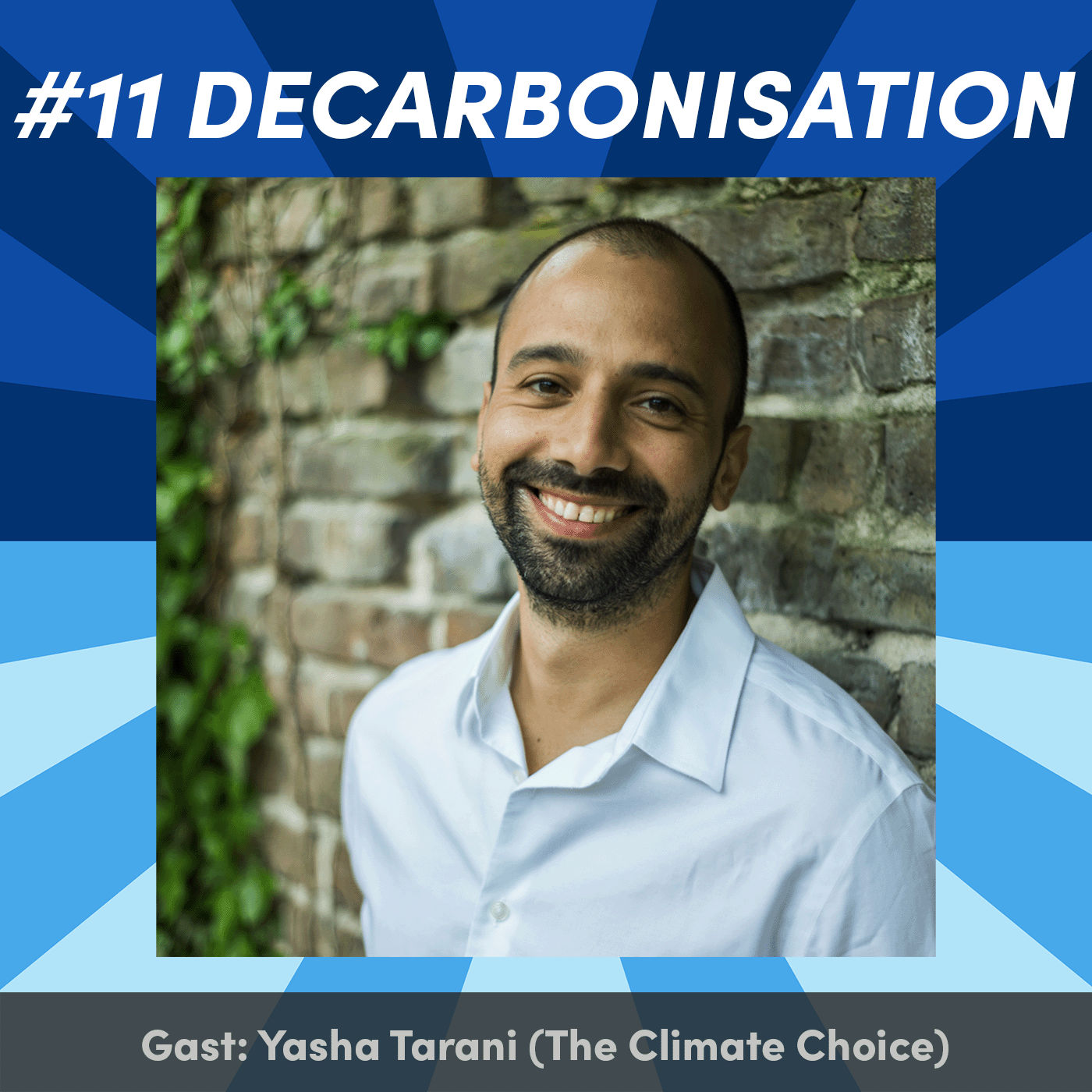 #11 Dekarbonisierung mit Yasha Tarani (The Climate Choice)