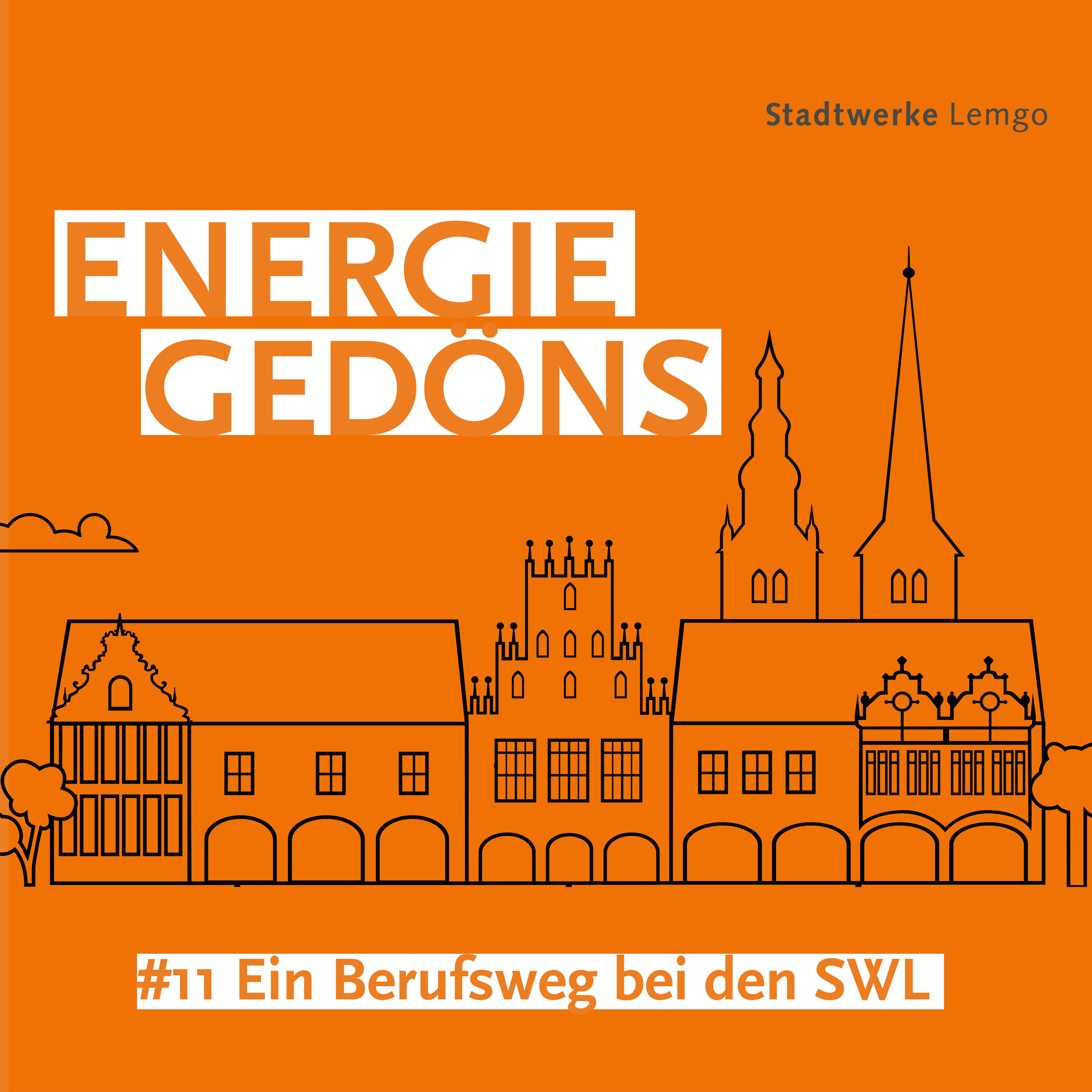 #11 Ein Berufsweg bei den SWL