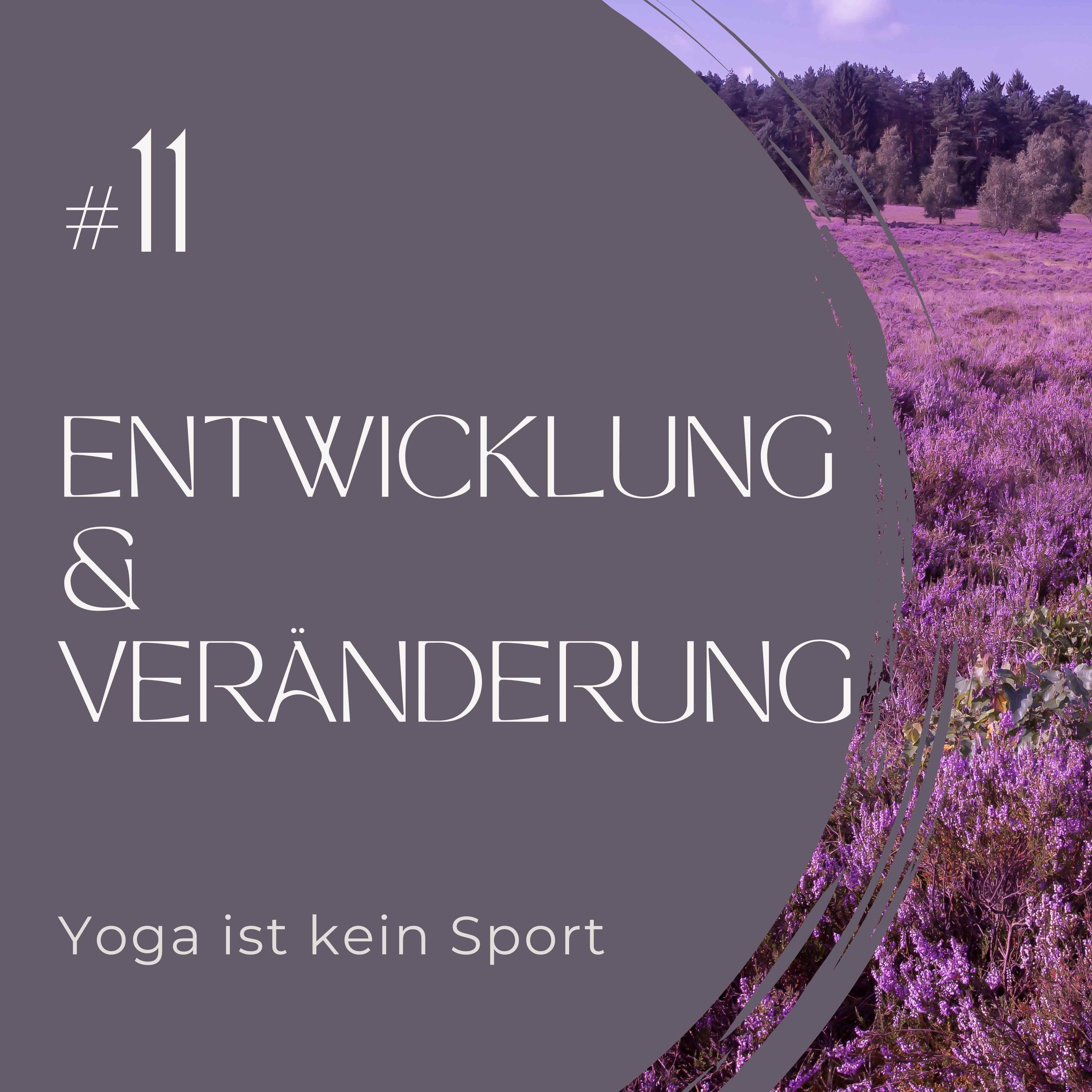 #11 Entwicklung & Veränderung - die neue Staffel