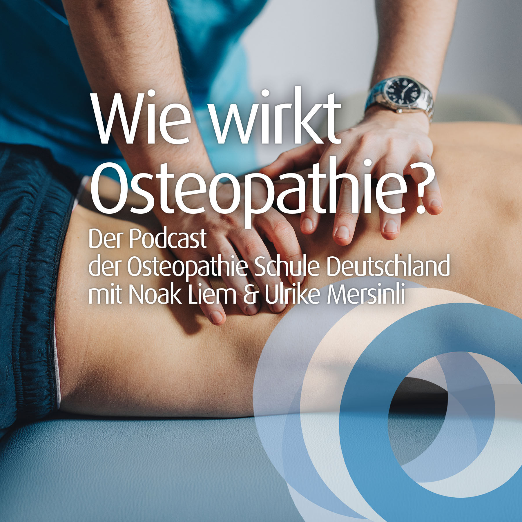 #11 - Schilddrüse & Pankreas