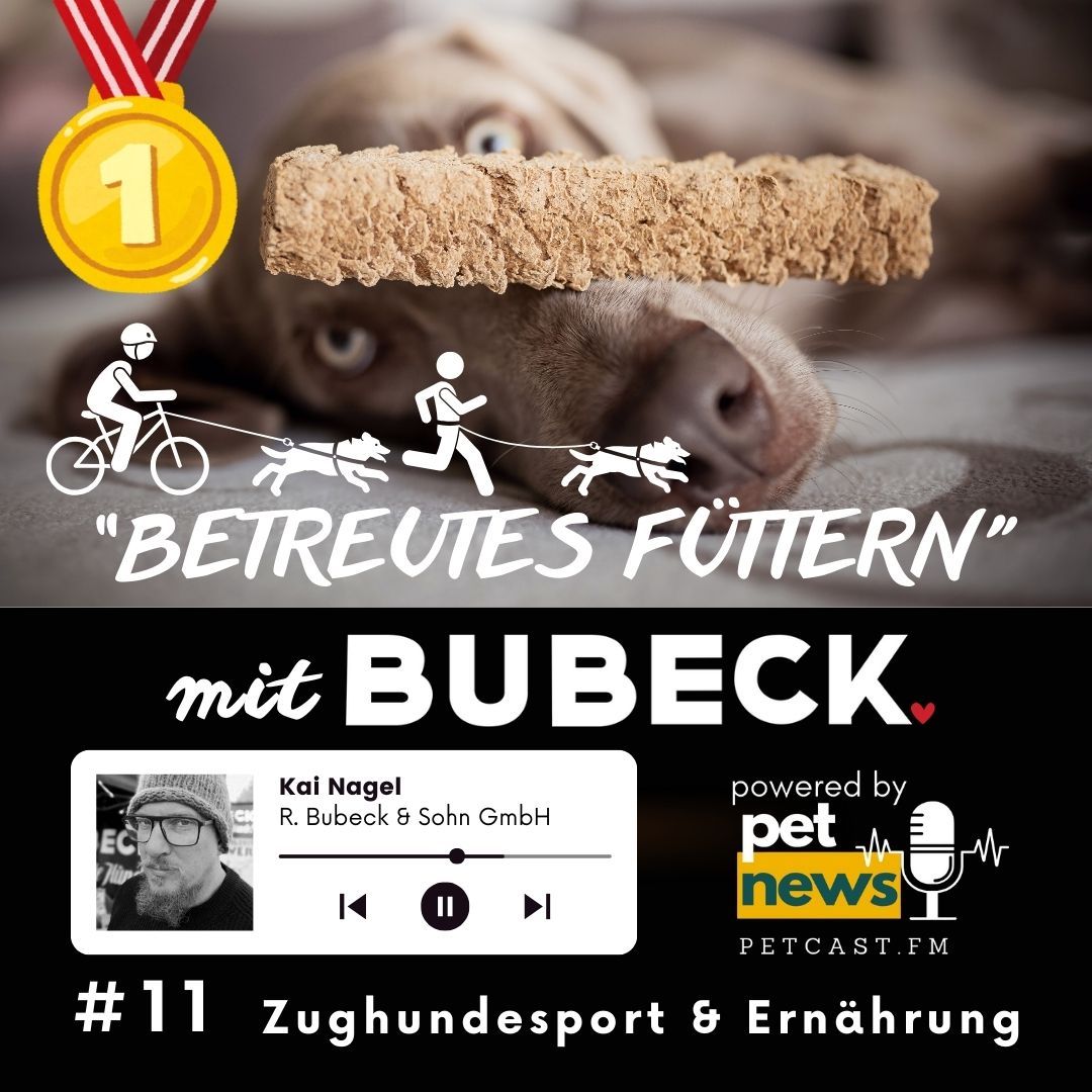 #11 - Zugkraft x Napfkraft – Wie Futter Sieger macht!