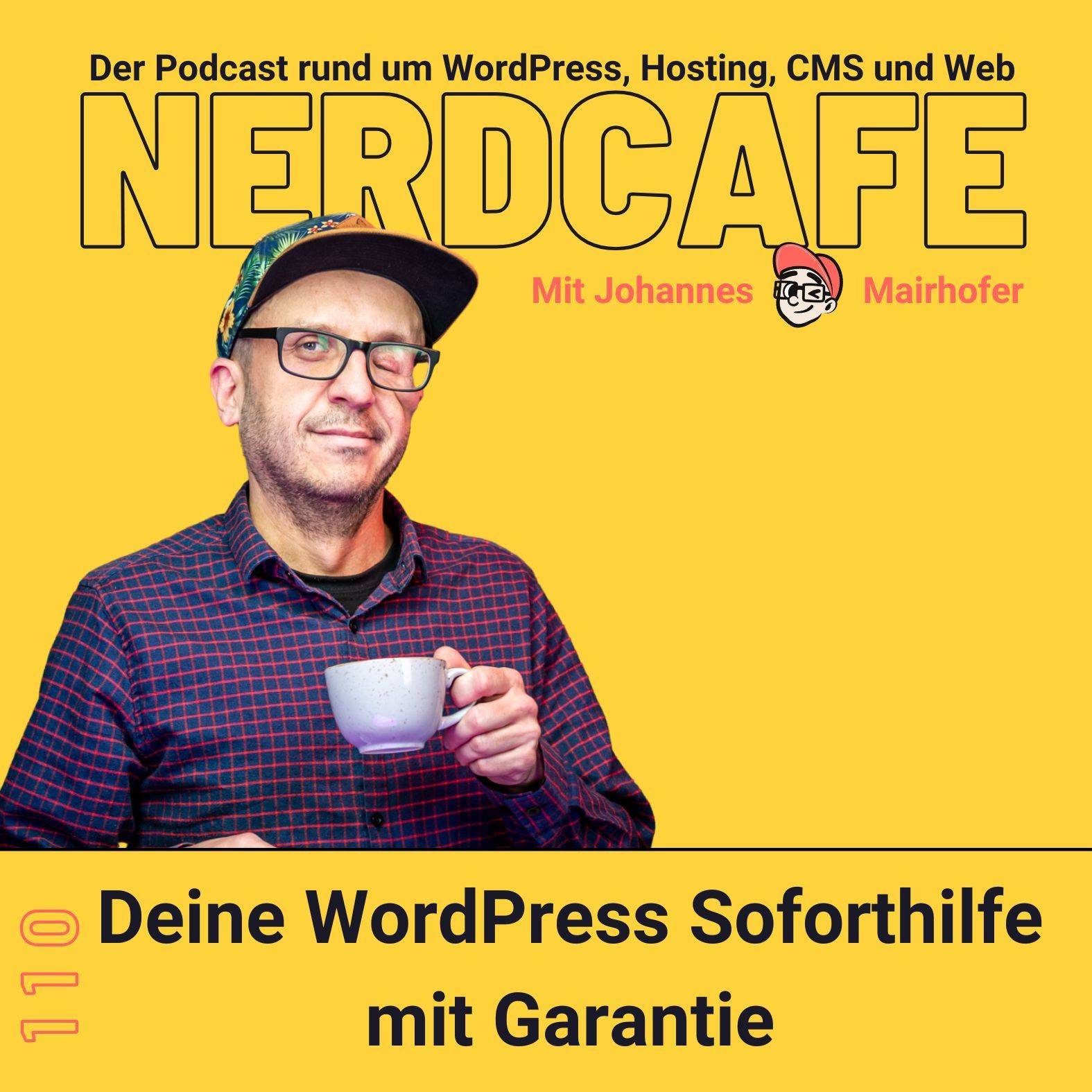 110 - Deine WordPress Soforthilfe mit Garantie