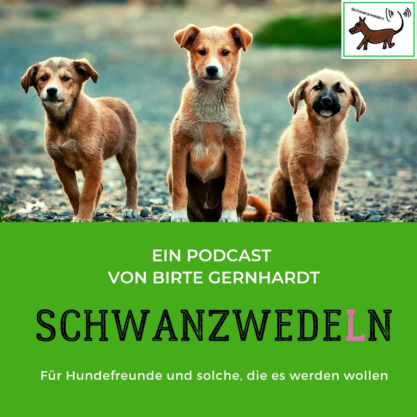 111 Mehrhundehaltung - mehr Hunde, mehr Herz.