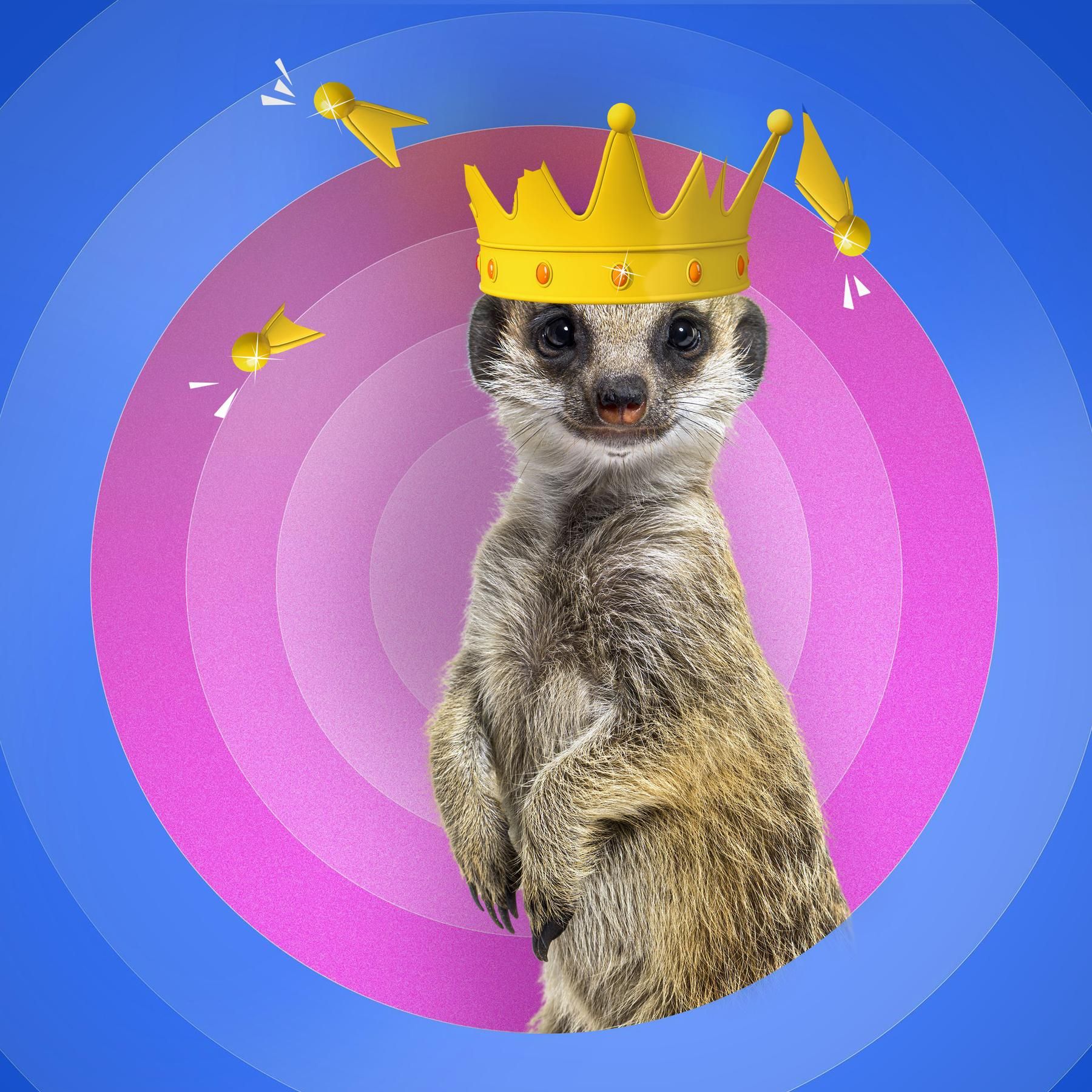 (1/12) Erdmännchen - Was ist hinter Horstis Kellertür?