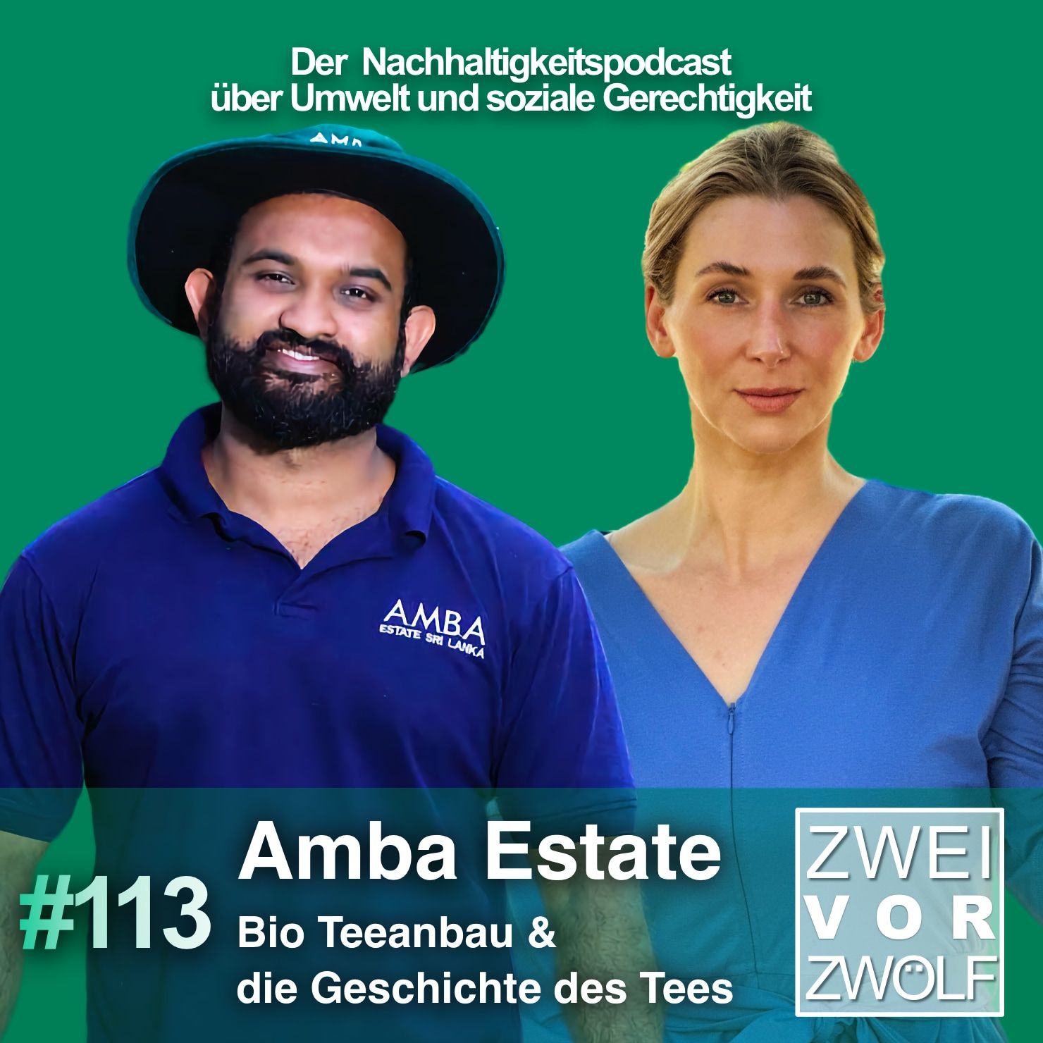 #113 Amba Estate – Bio Teeanbau & die Geschichte des Tees