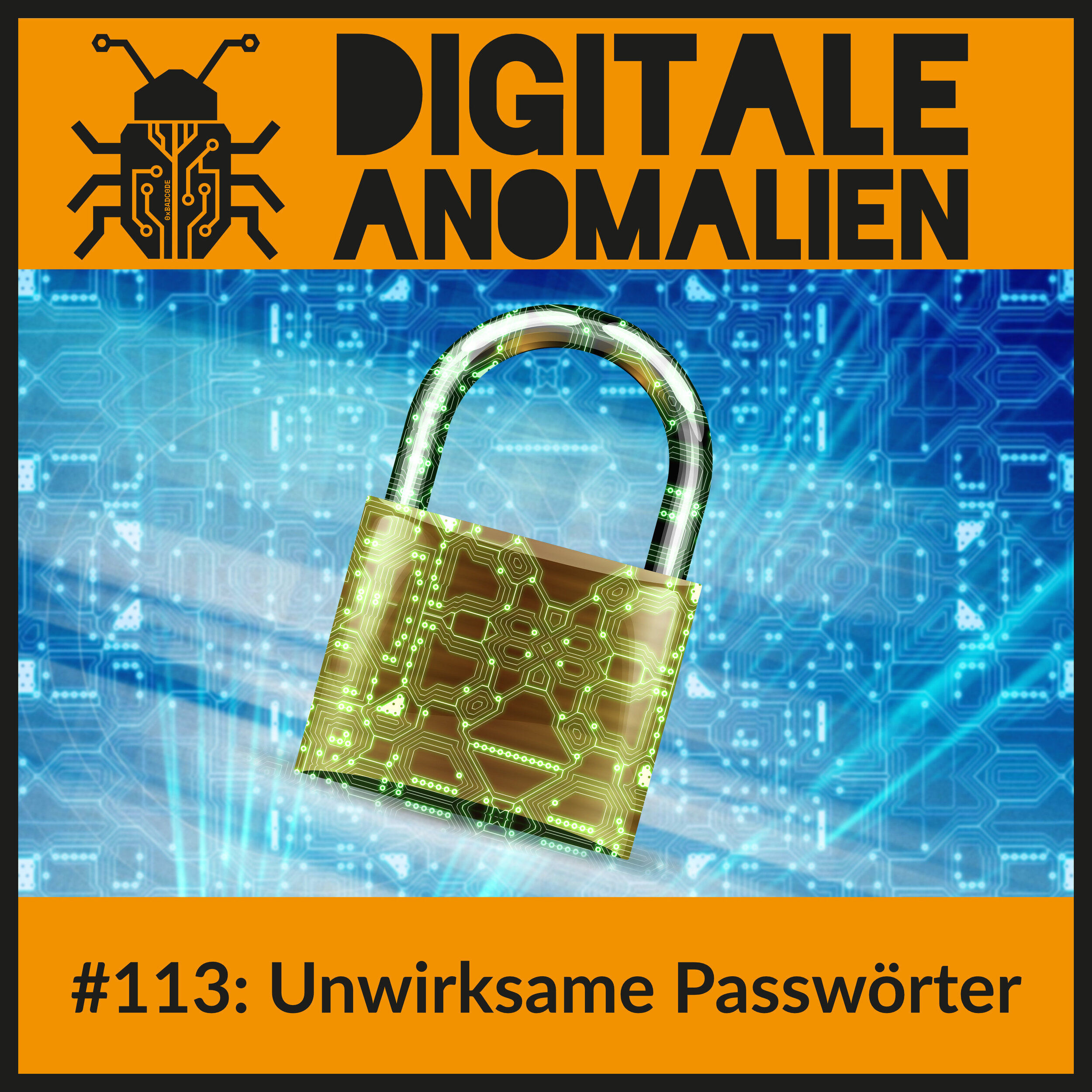 #113: Unwirksame Passwörter