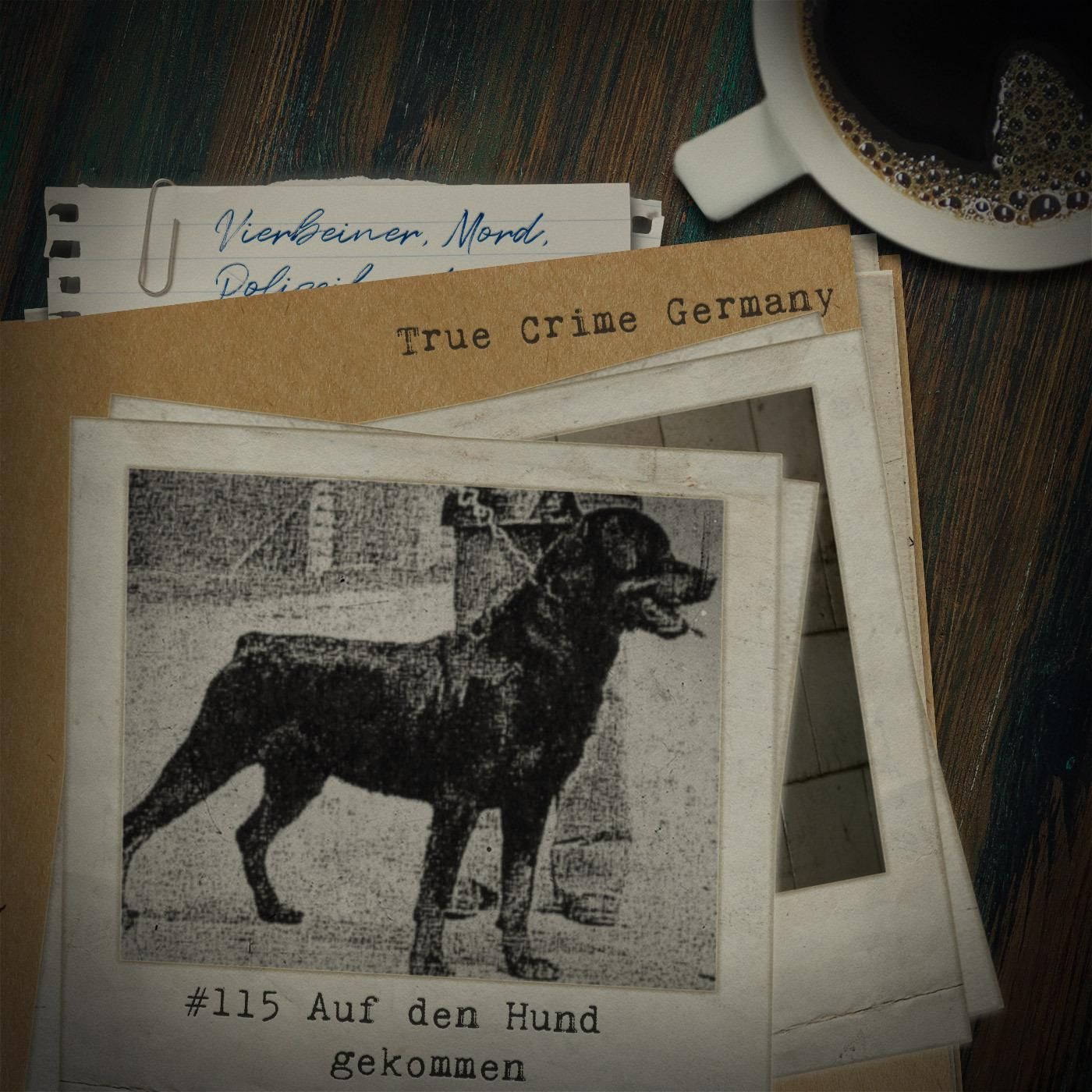 #115 Auf den Hund gekommen