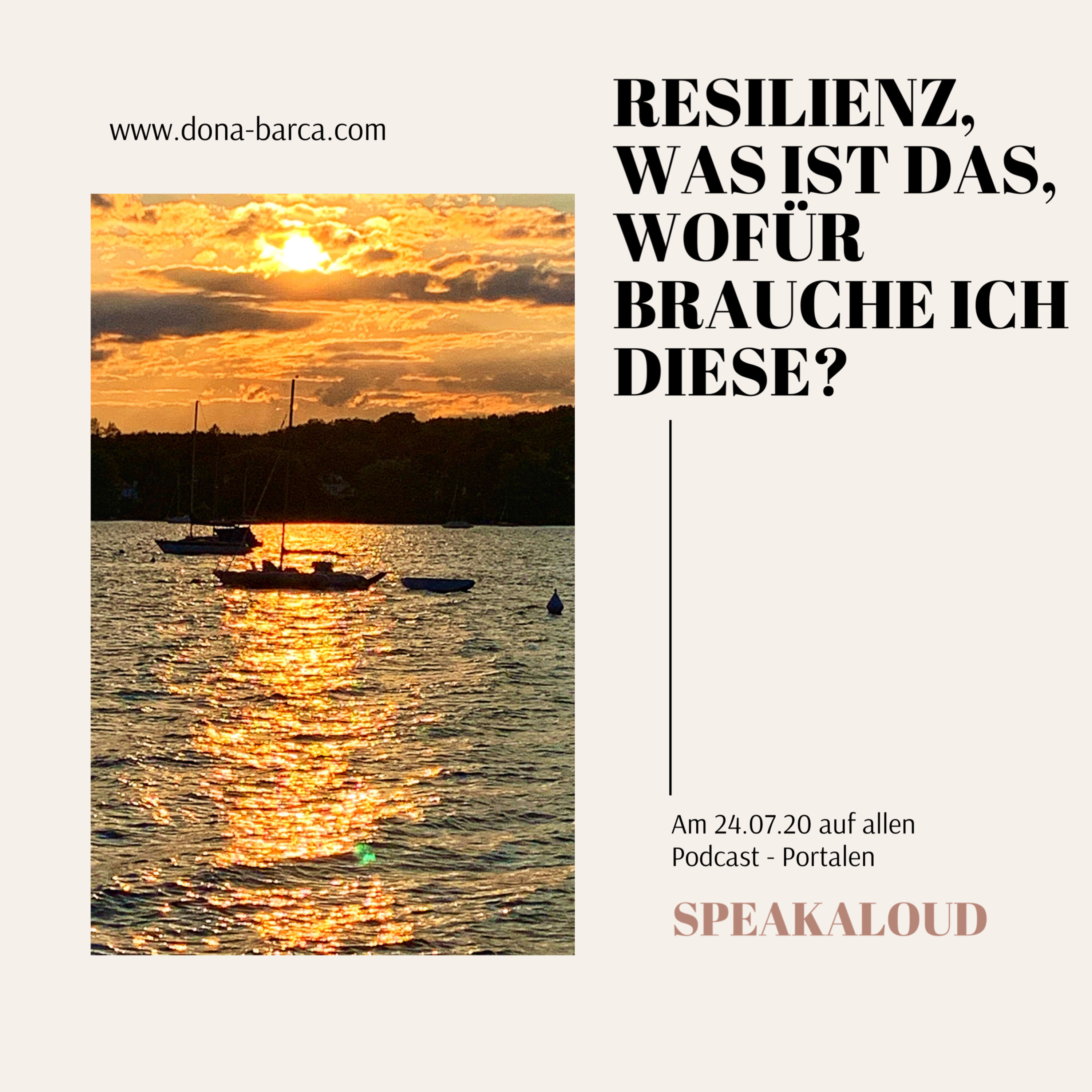 1/17 Was ist Resilienz, wofür steht diese?