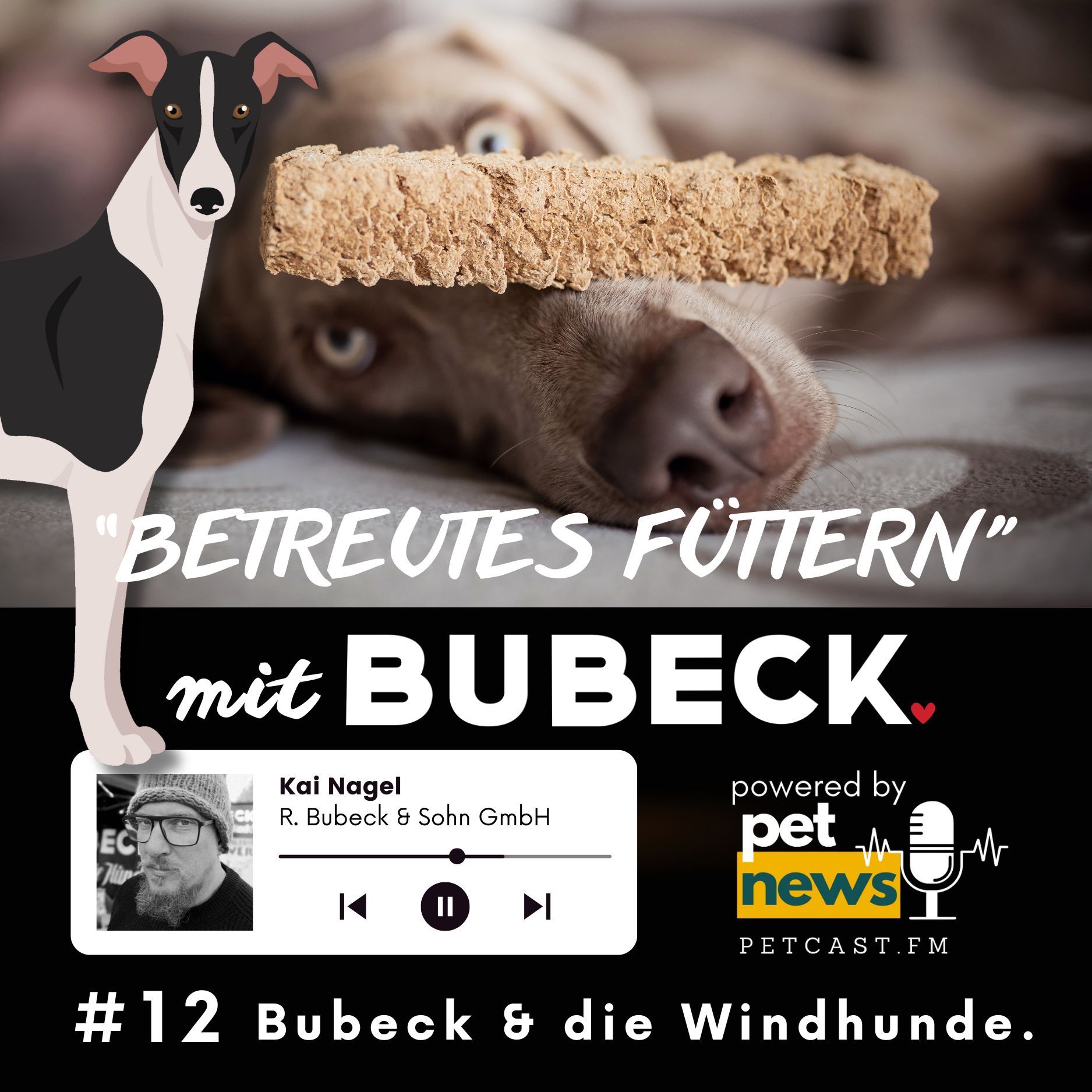 #12 - Bubeck & Windhunde – Eine unterschätzte Verbindung