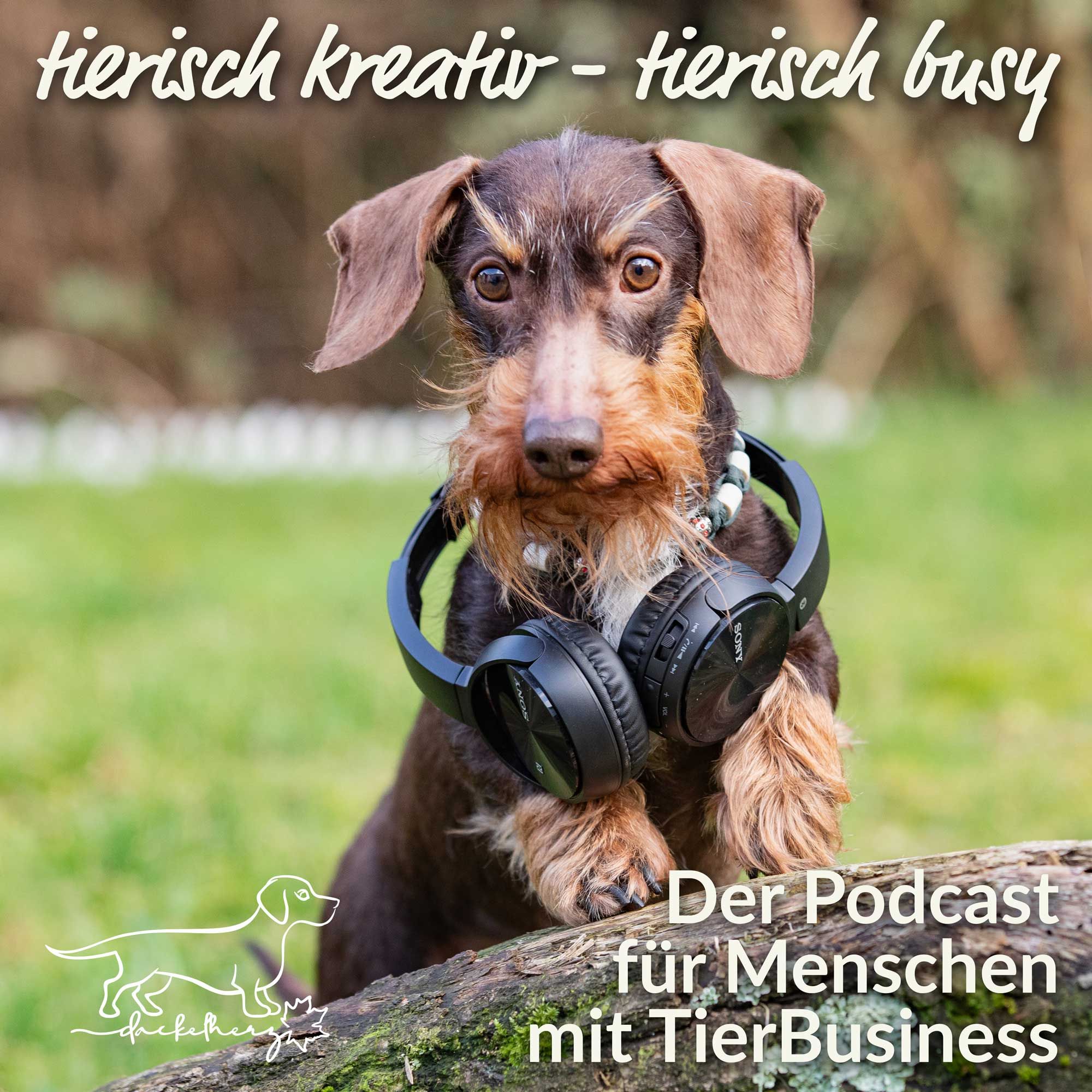 #12 - Kooperation statt Konkurrenz | Gast: Dr. Veronika Hübner