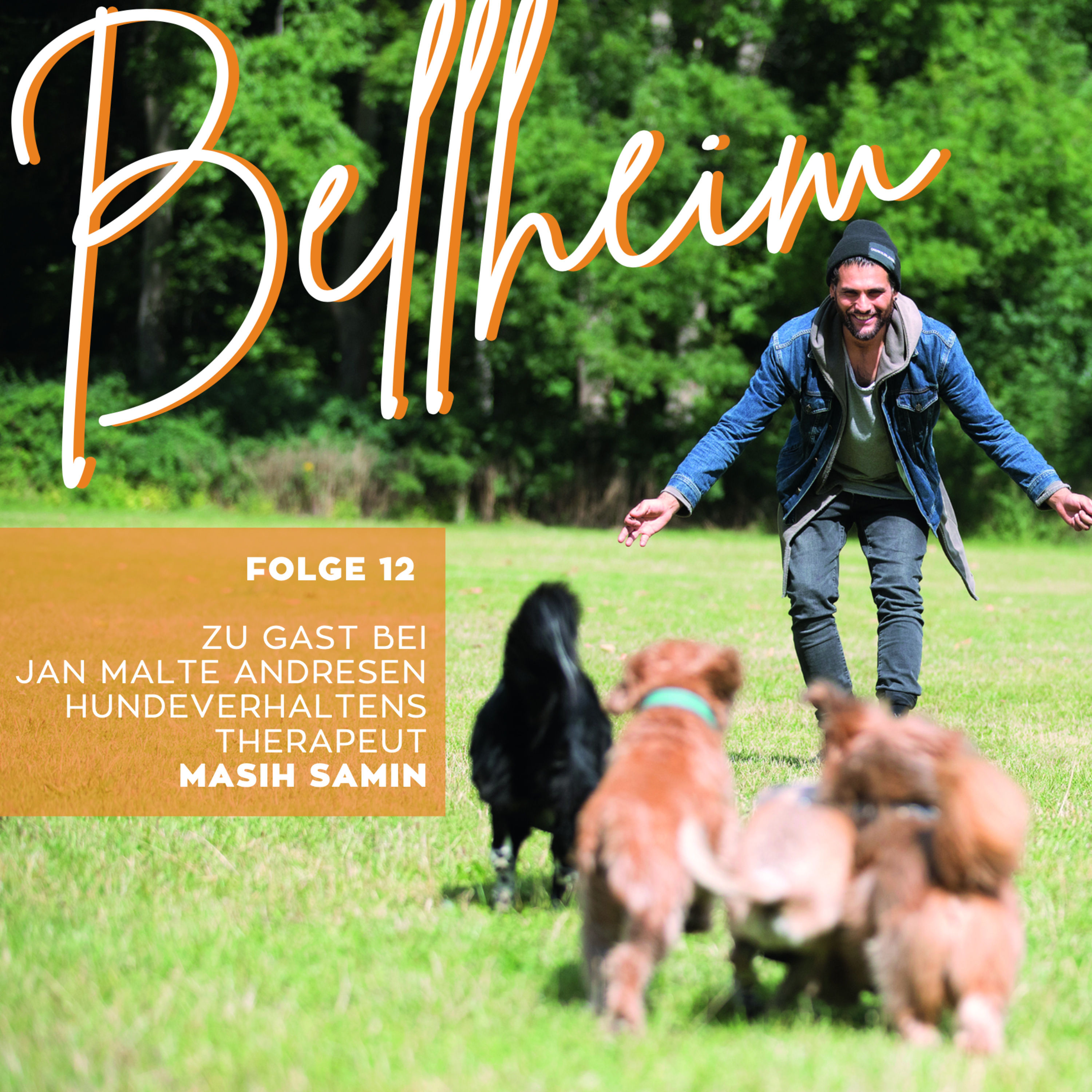 #12 - Masih Samin, Hundeverhaltenstherapeut - Stadtwolf und Hundeflüsterer