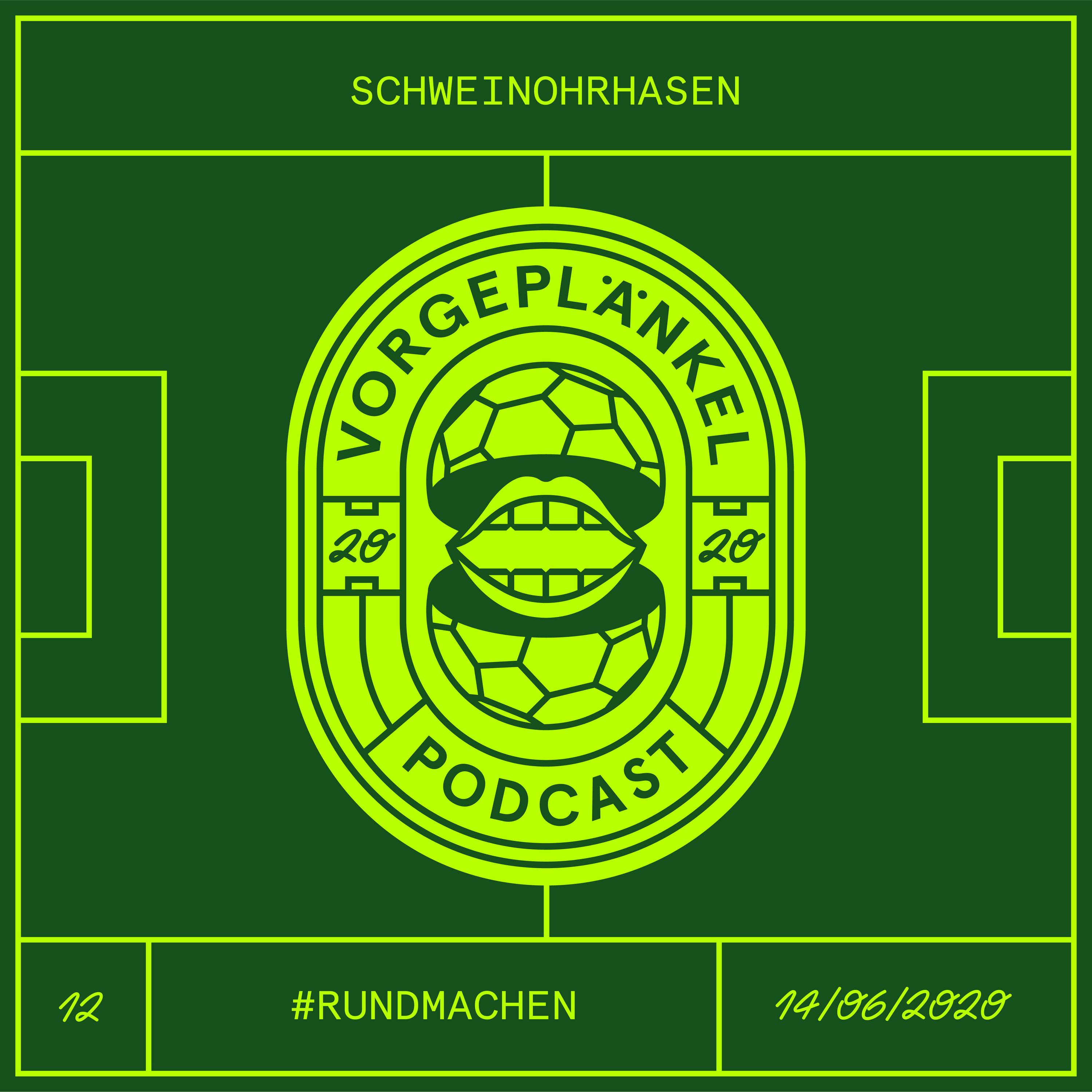 12 - Schweinohrhasen