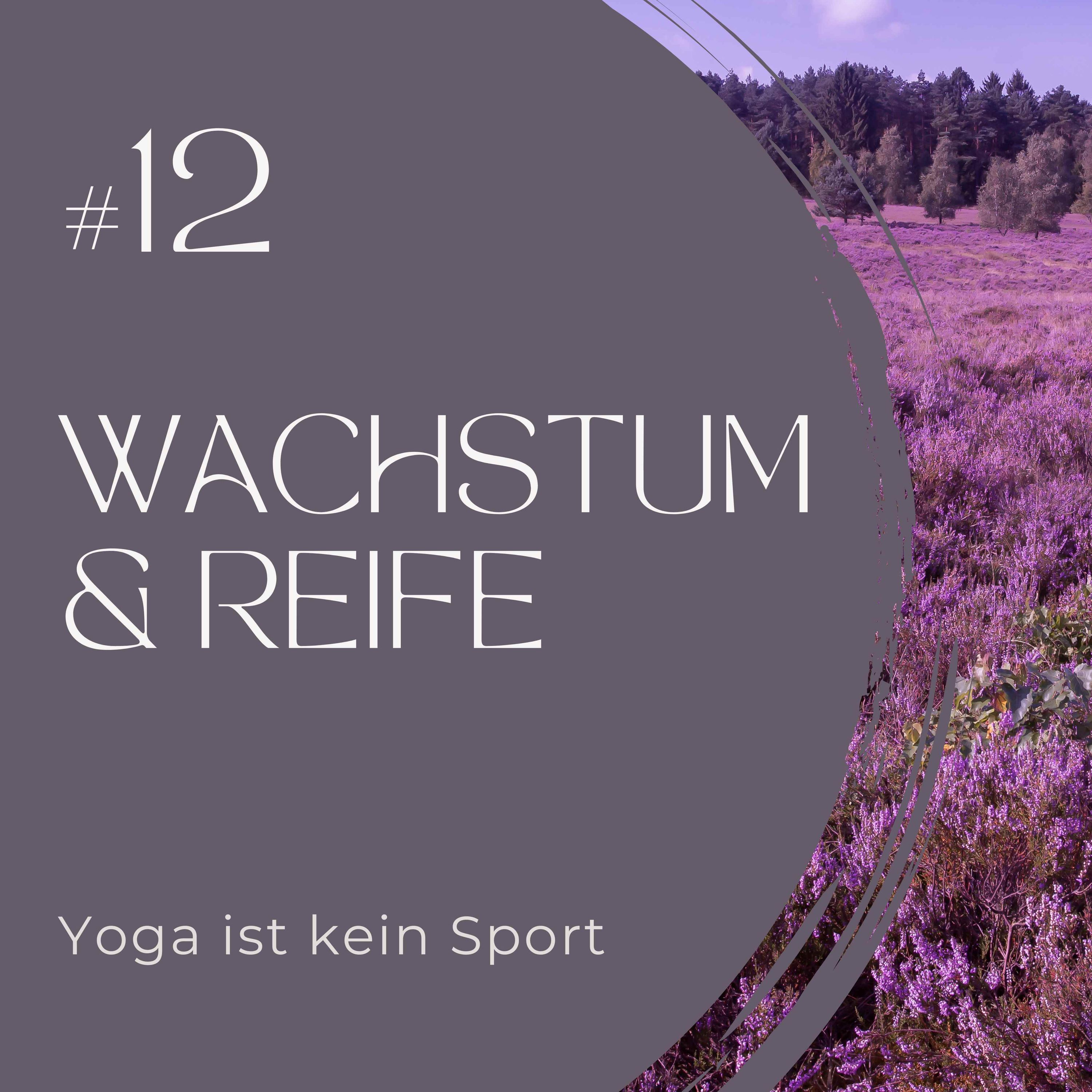 #12 Wachstum & Reife