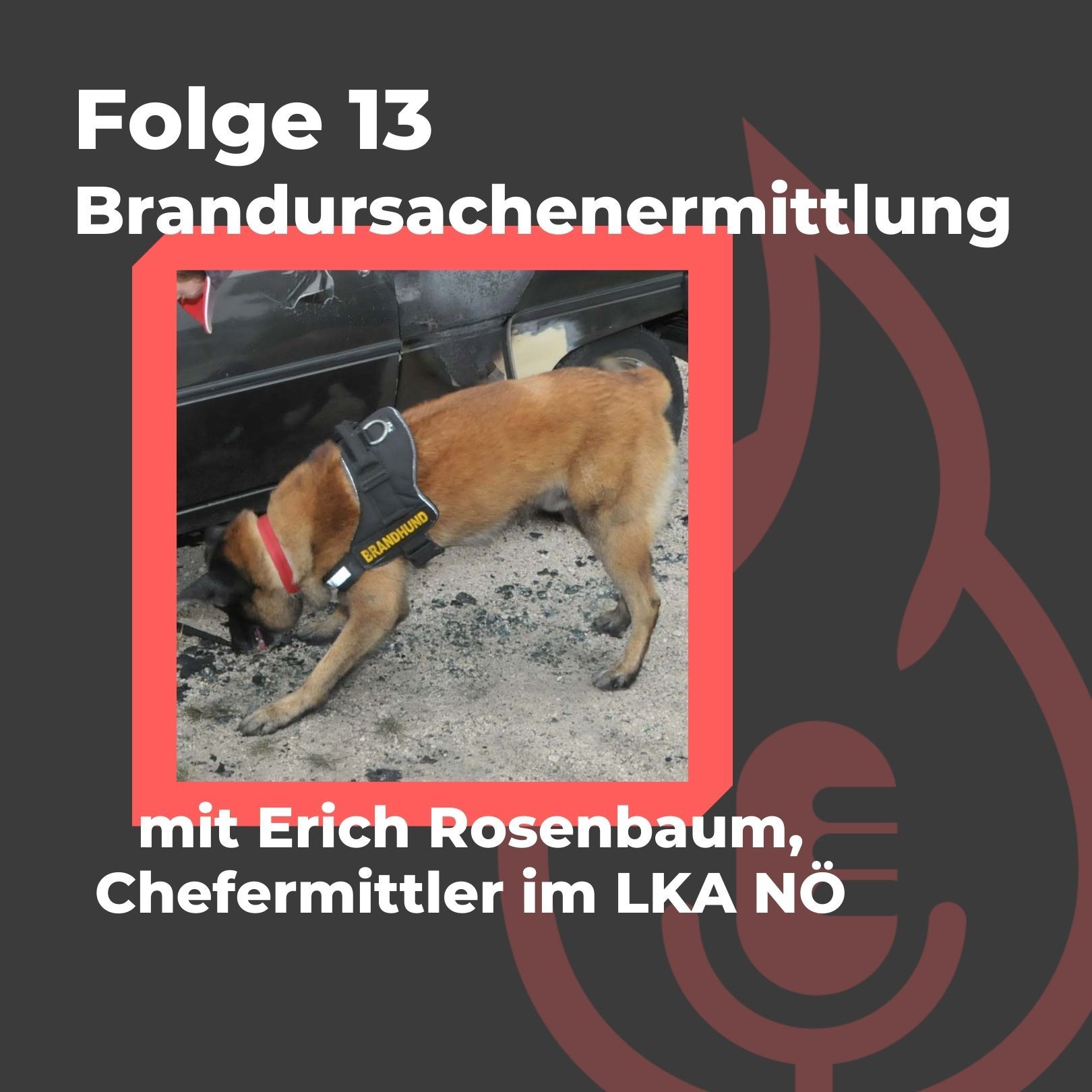 #13: Brandursachenermittlung