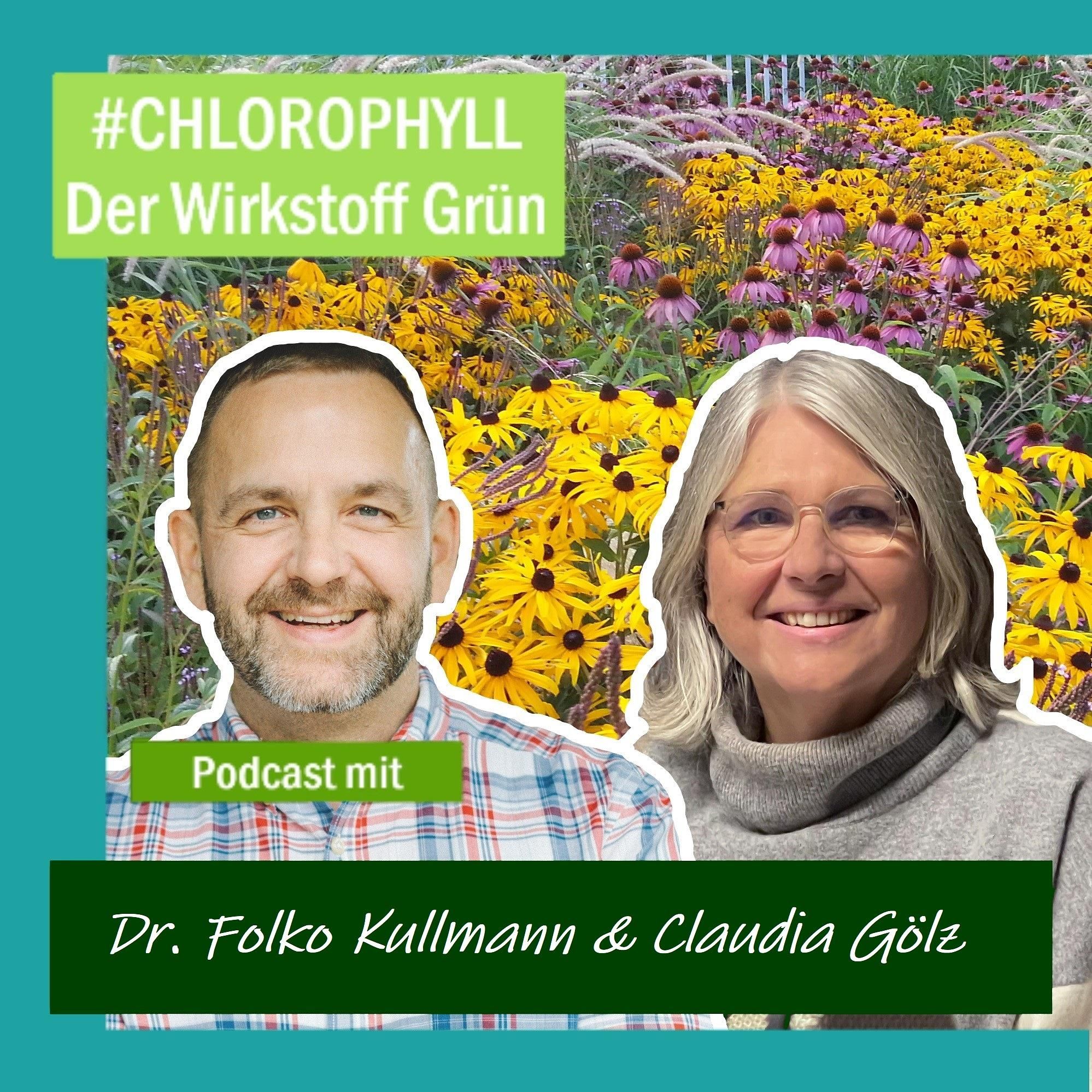 # 13 Dr. Folko Kullmann von der GdS