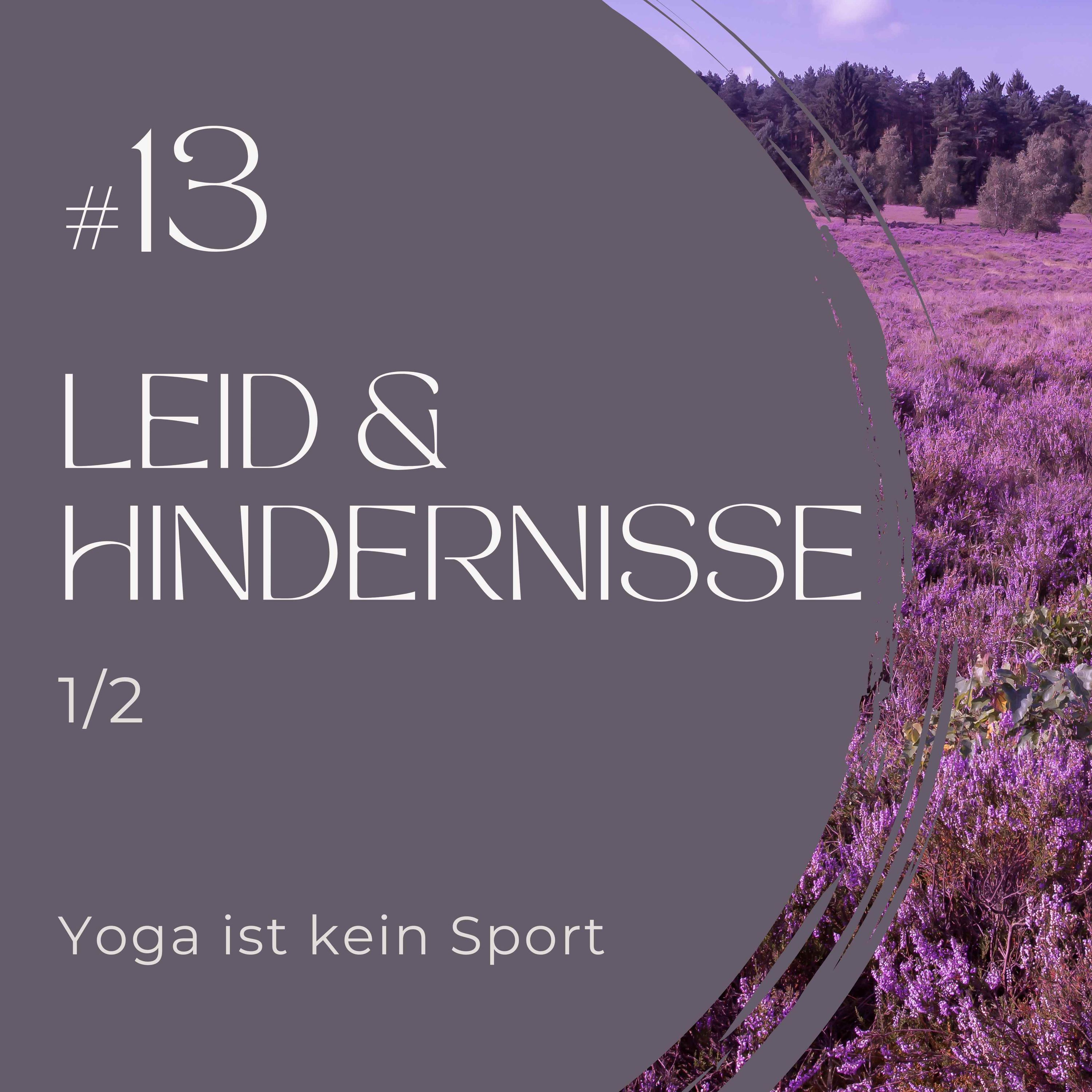 #13 Leid & Hindernisse Teil 1