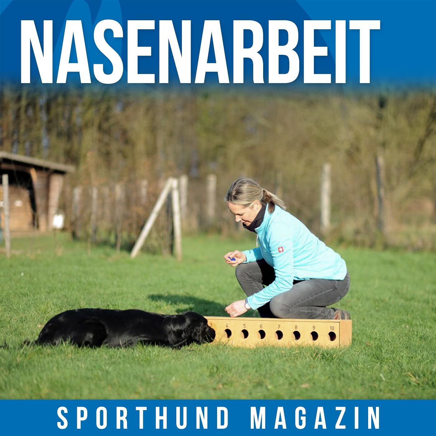 #13 Nasenarbeit