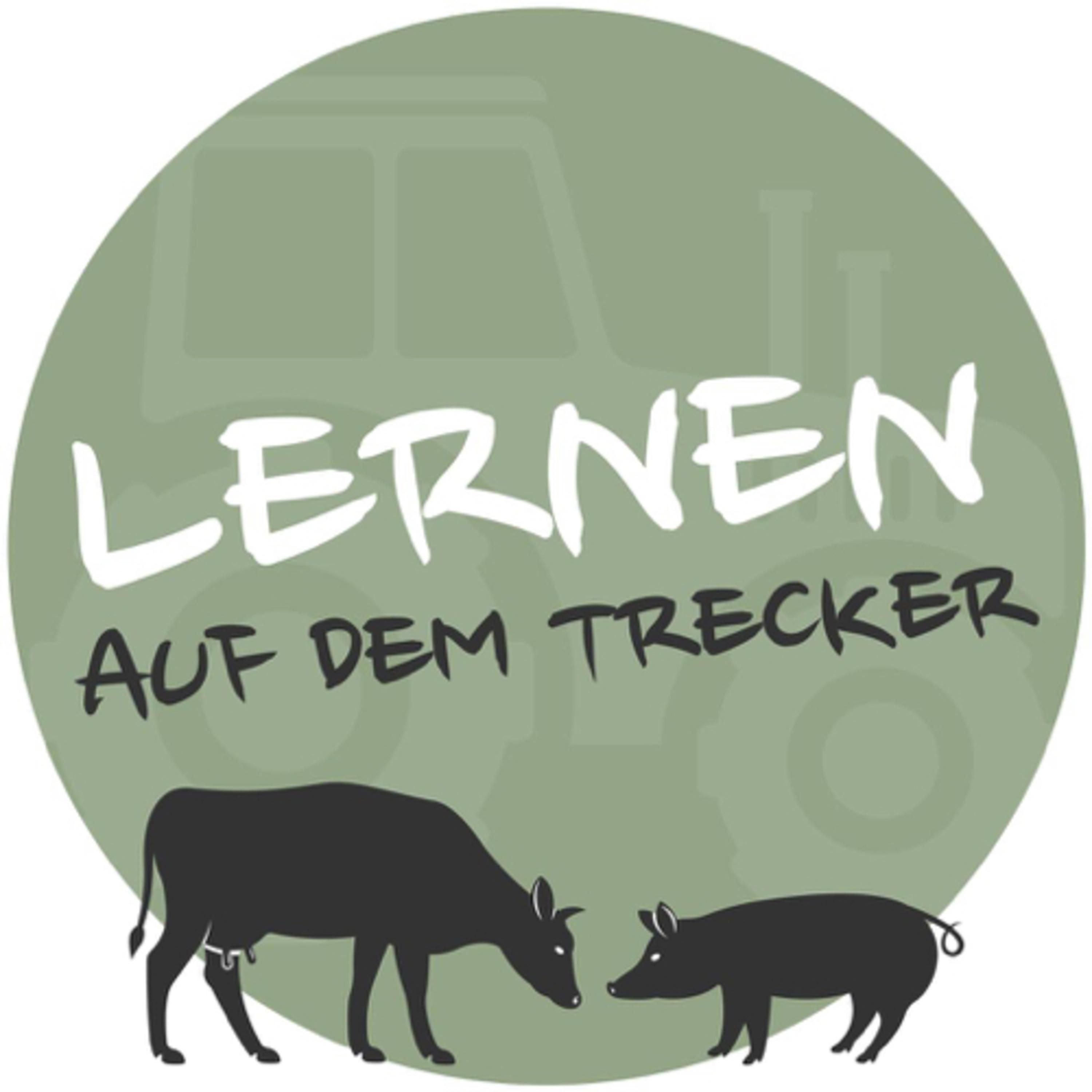 13. Prüfungsvorbereitung Rind